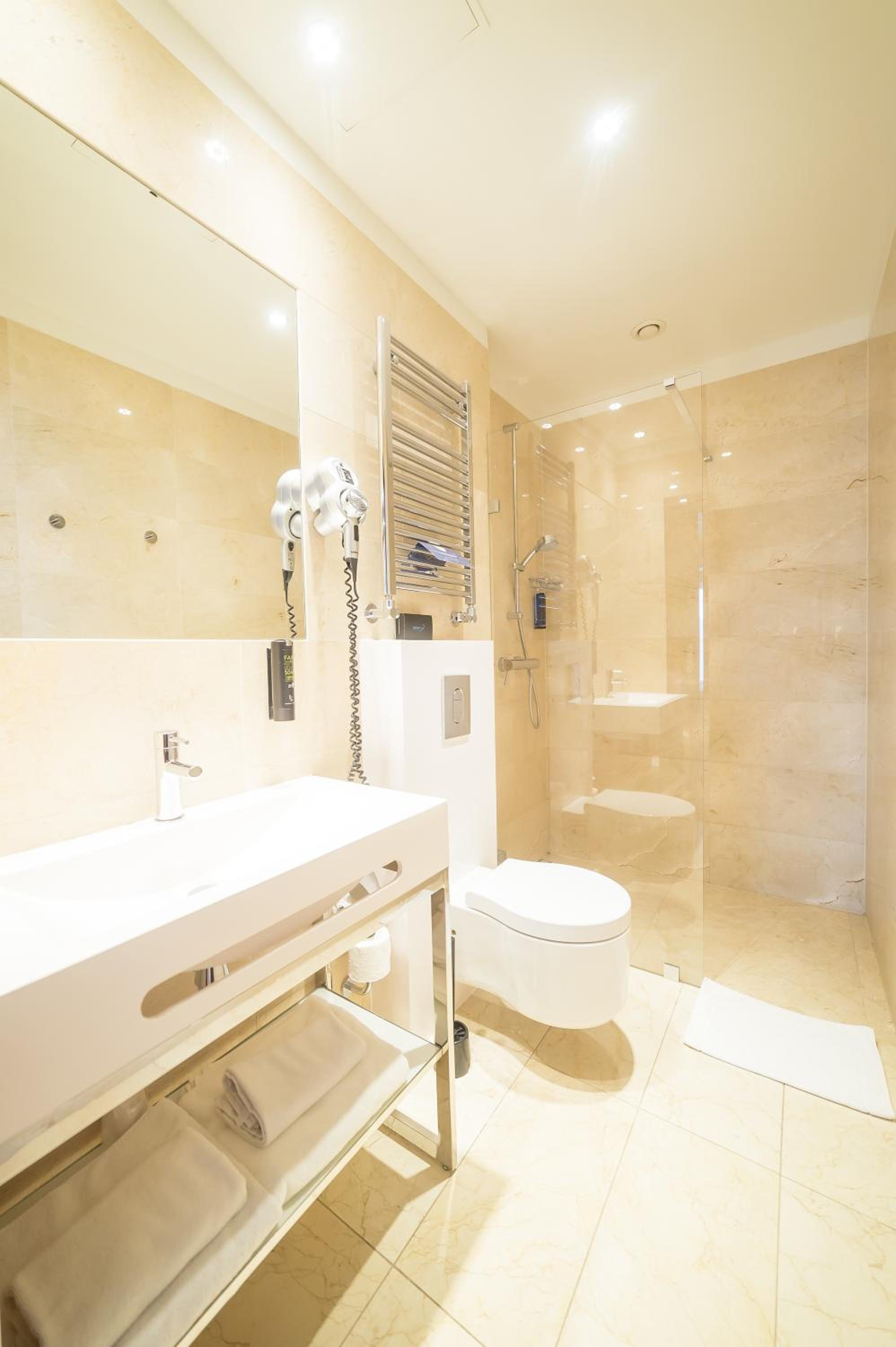 Deluxe Single Room photo 3