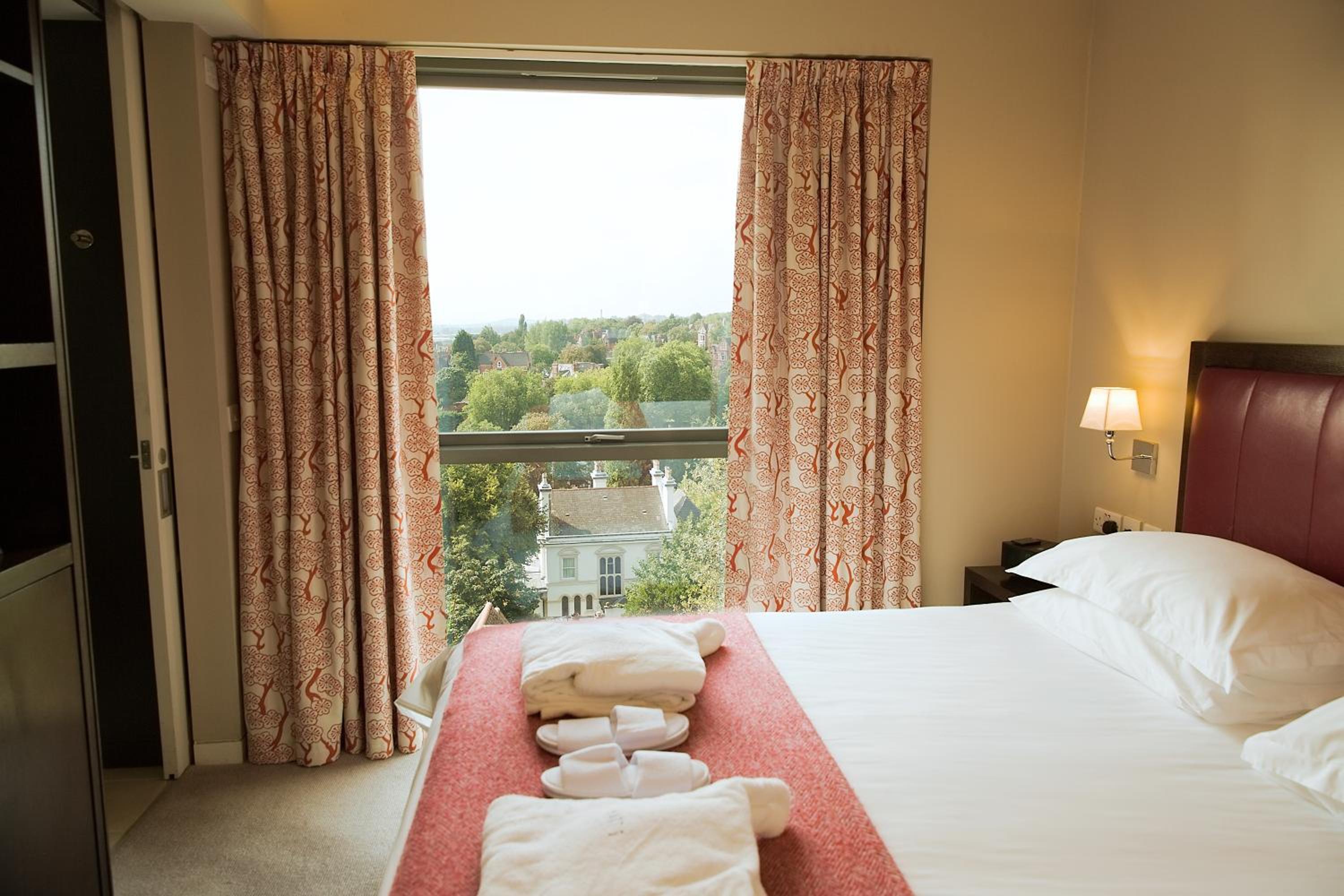 Suite - Photo 1