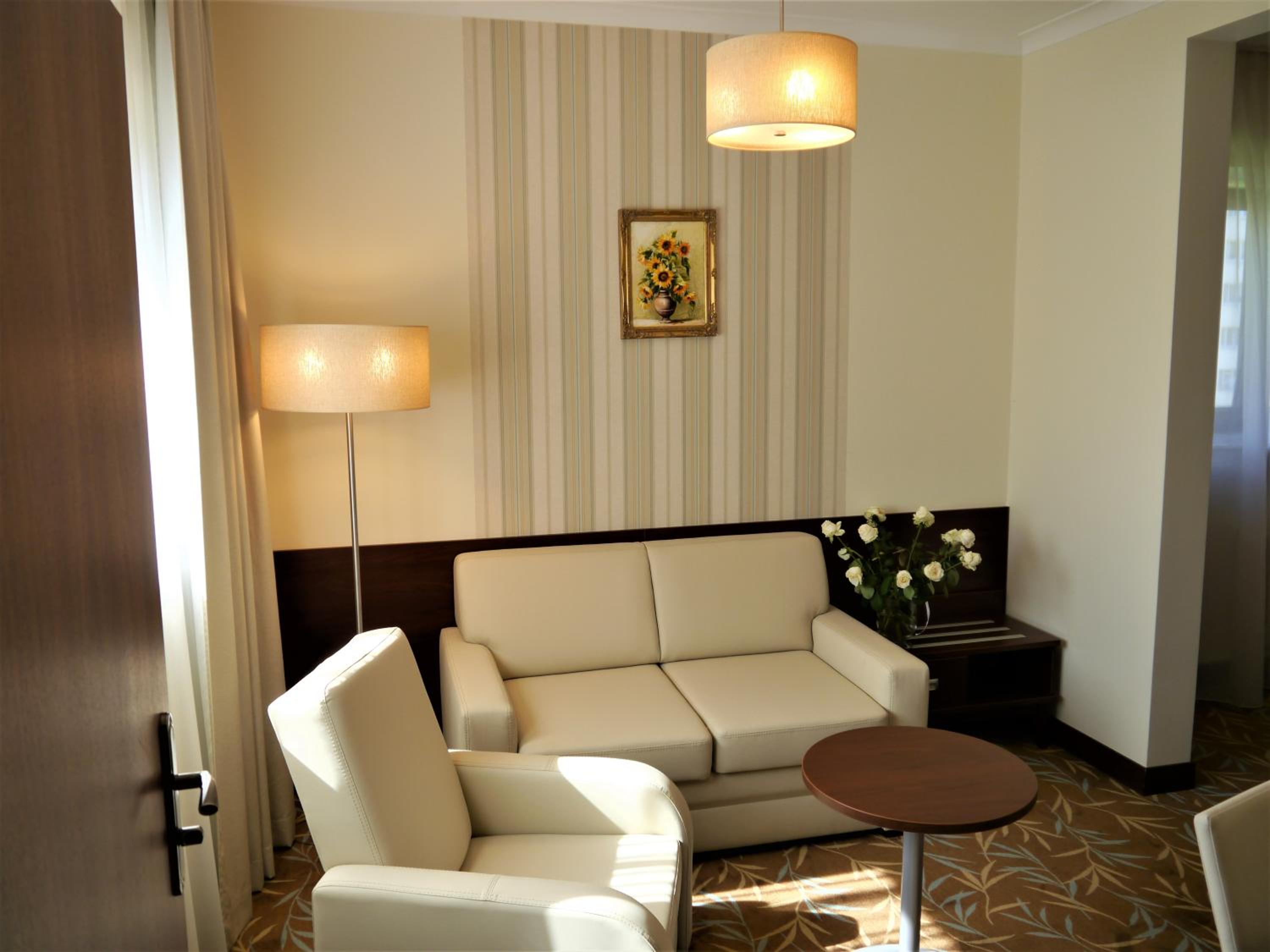 Business Double or Twin Room - Photo 7