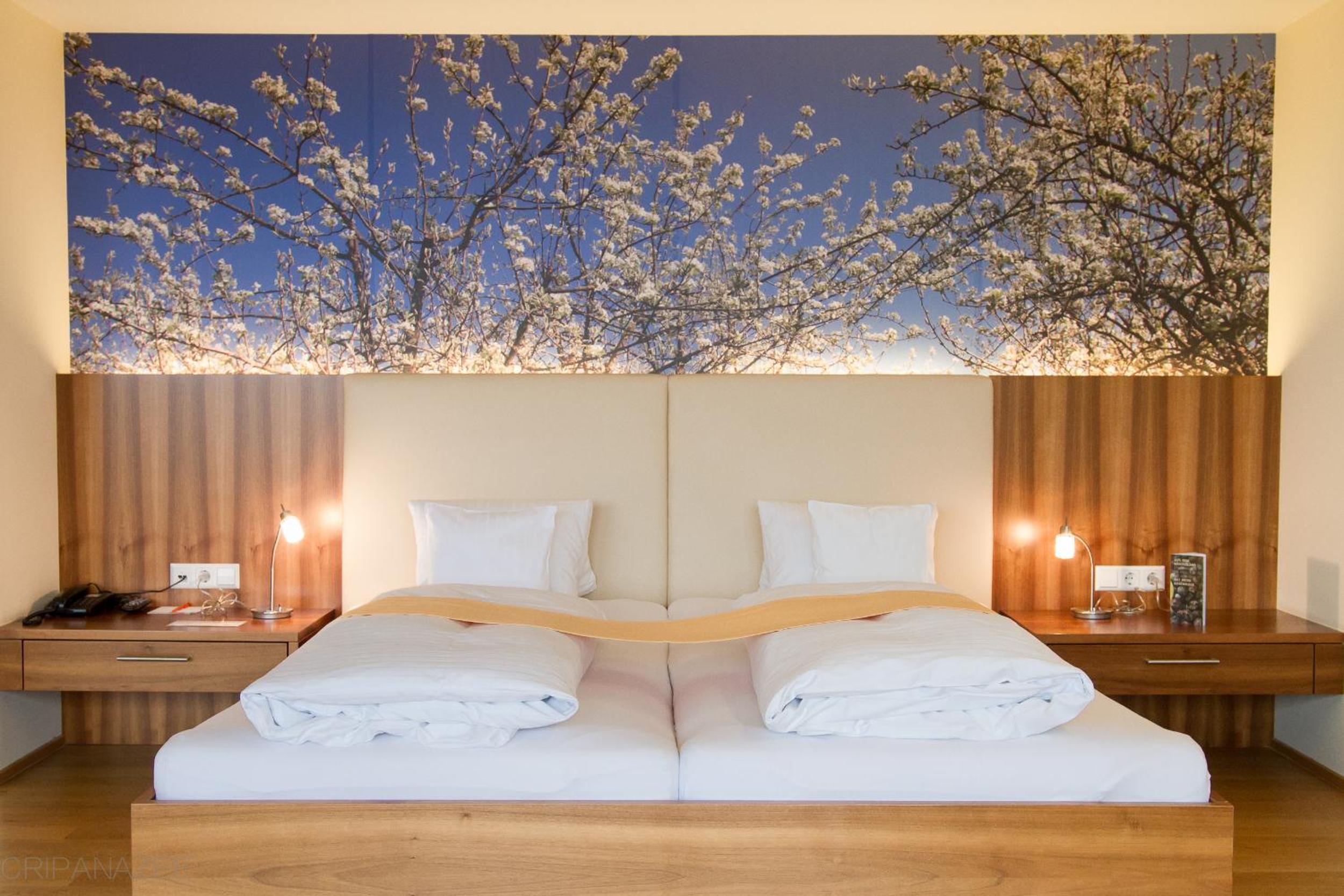 Suite photo 3