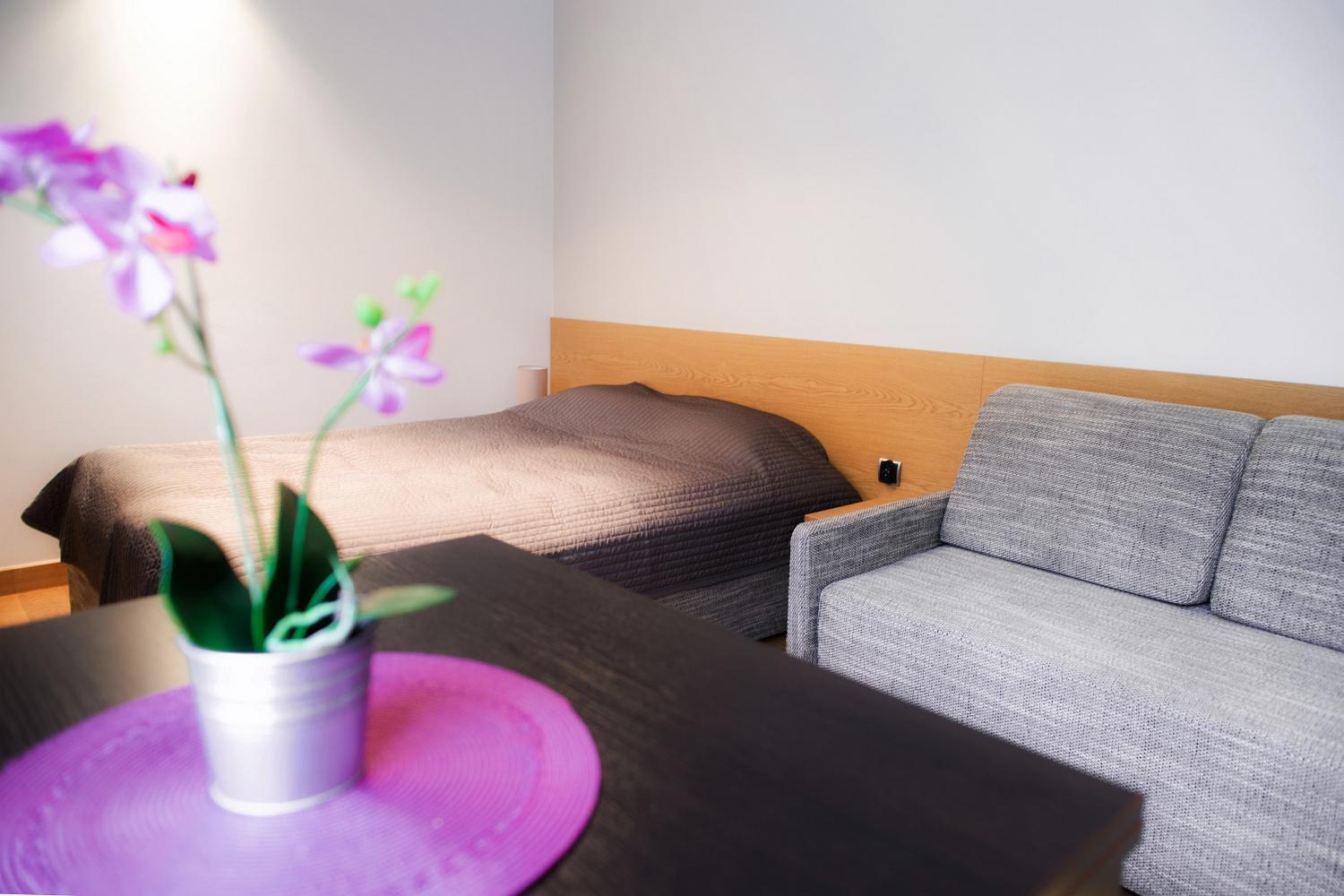 Studio Apartment photo 3