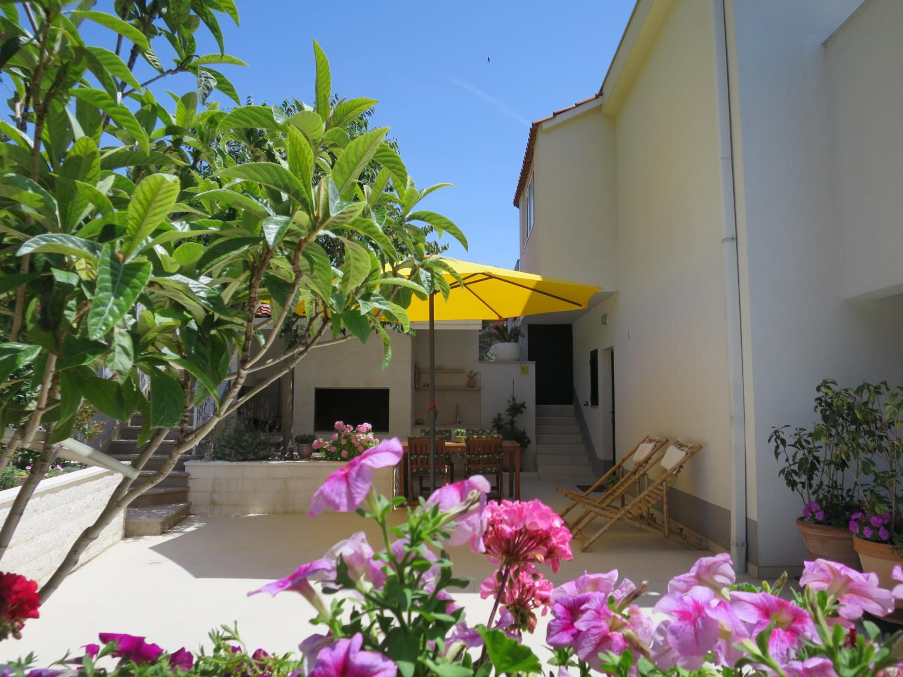 Apartment with Terrace photo 2