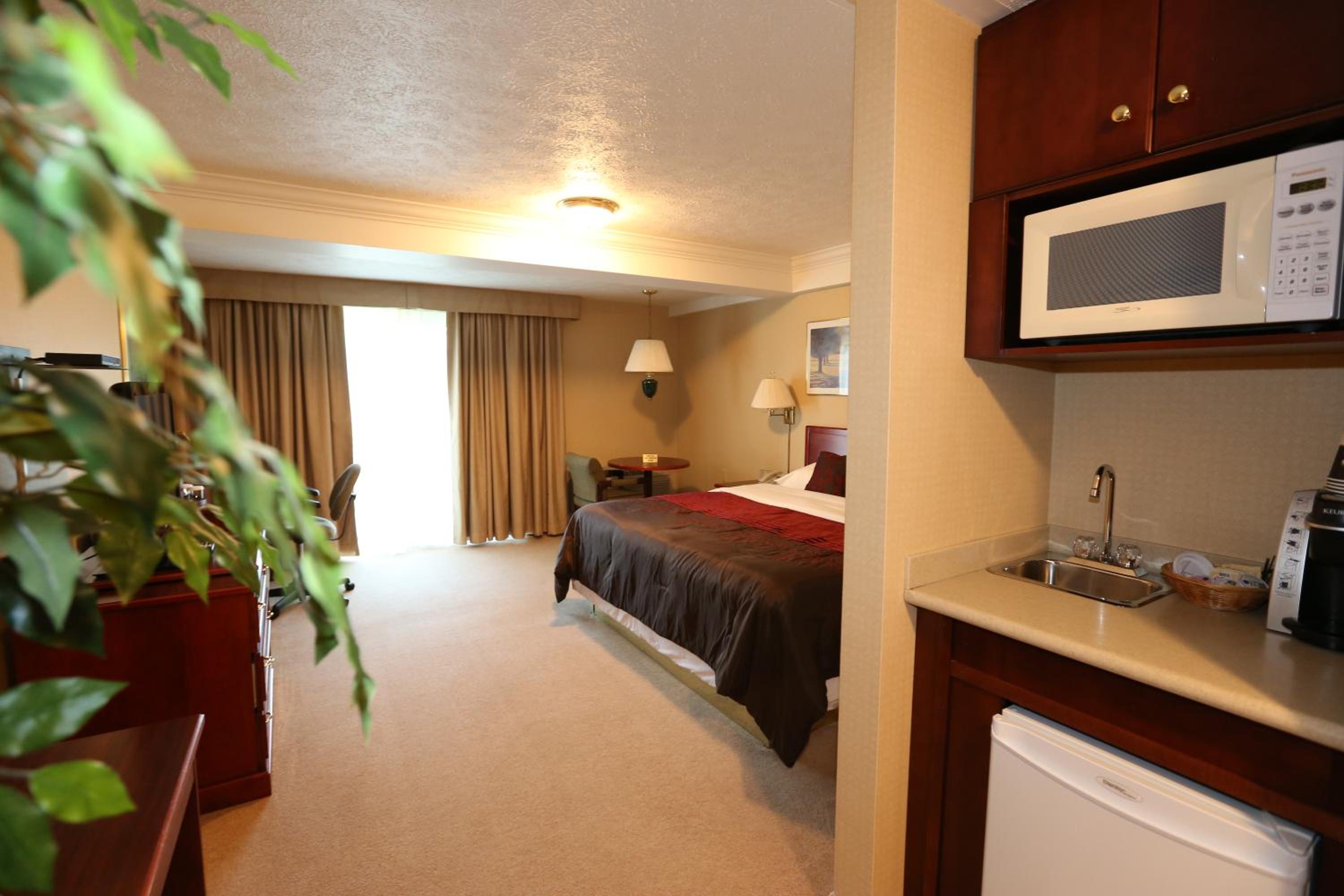 King Suite - Photo 4