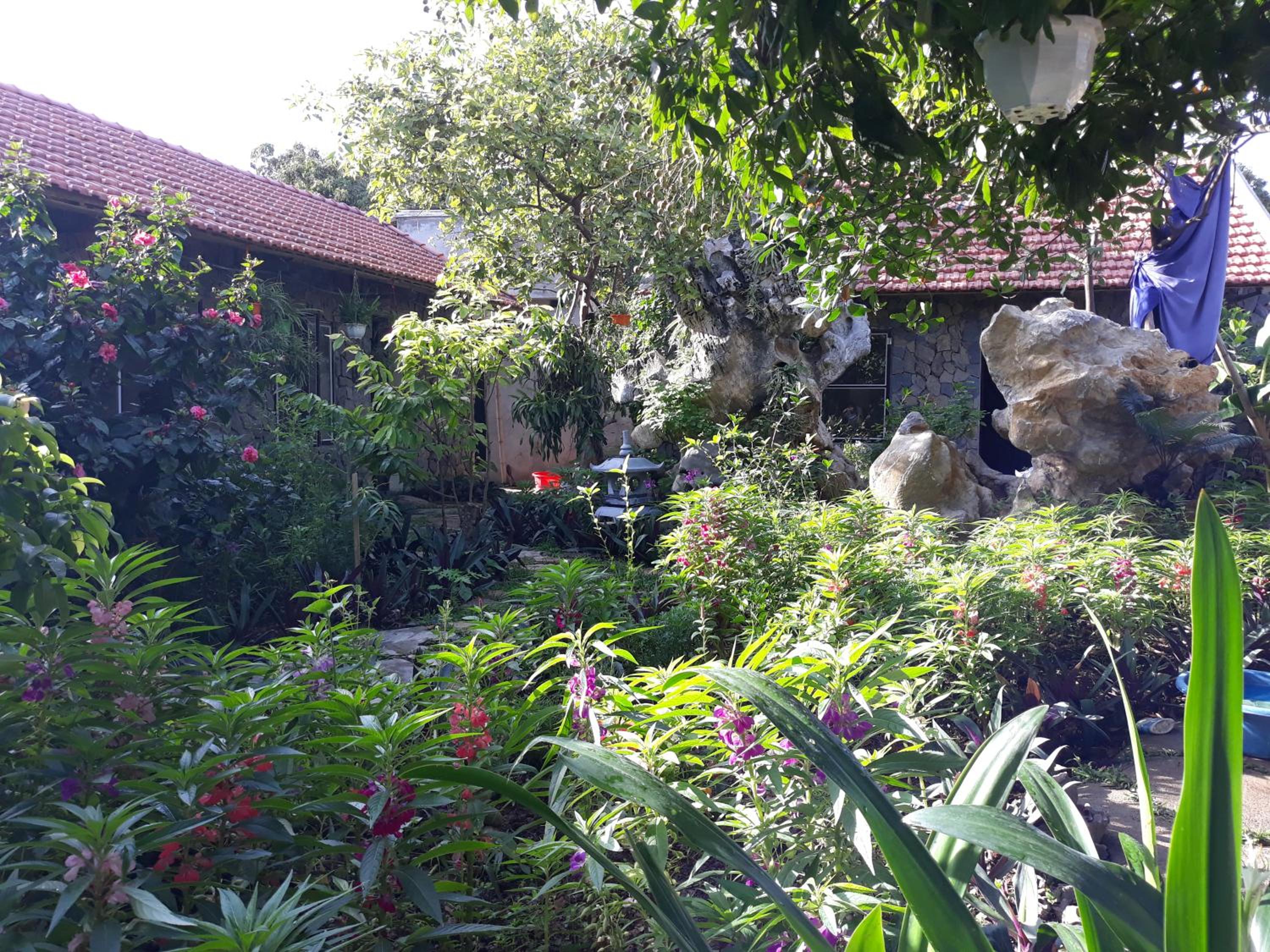 Quadruple Room with Garden View photo 3