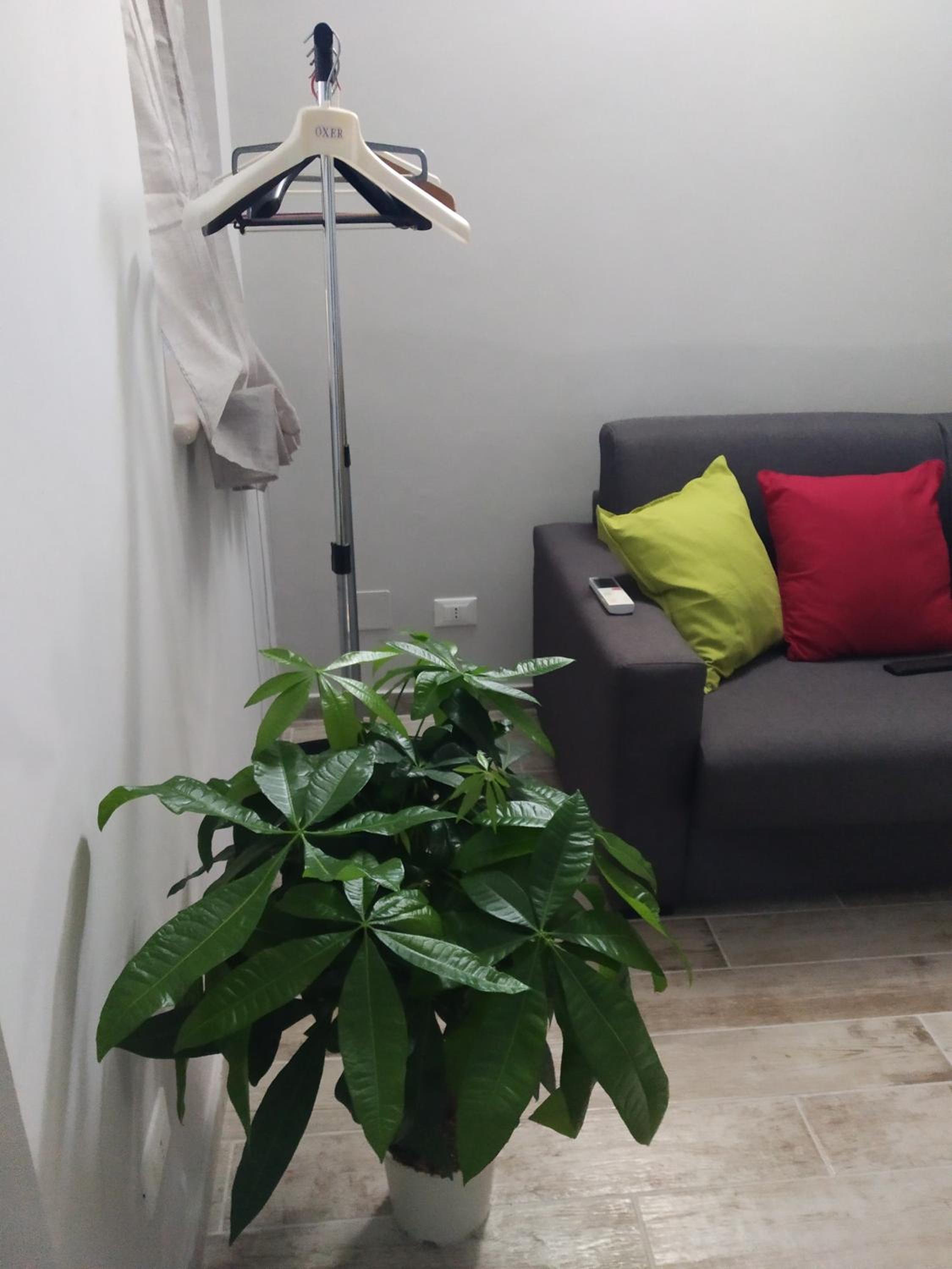 Penthouse Apartment - Photo 11