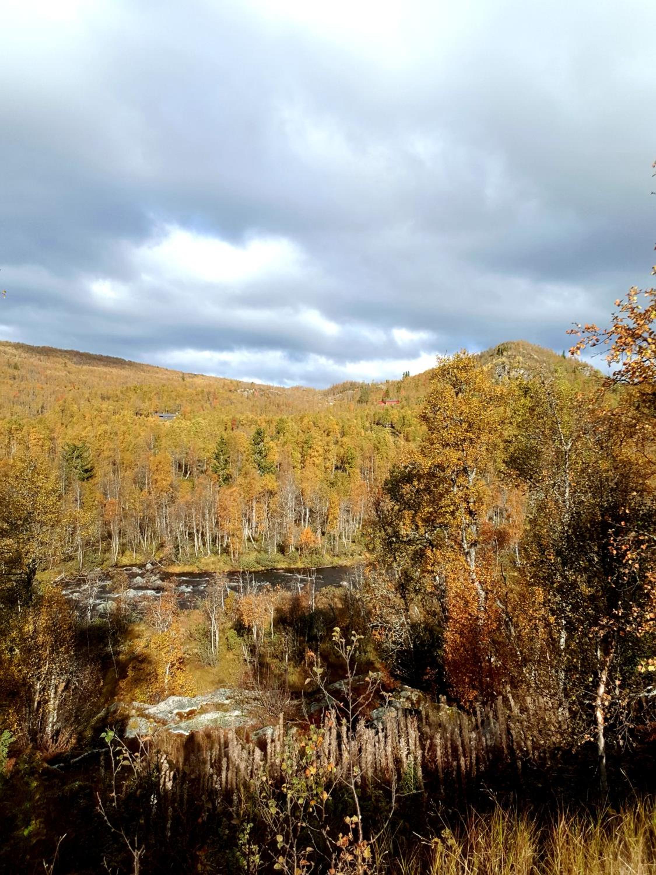 One-Bedroom Apartment - Photo 12