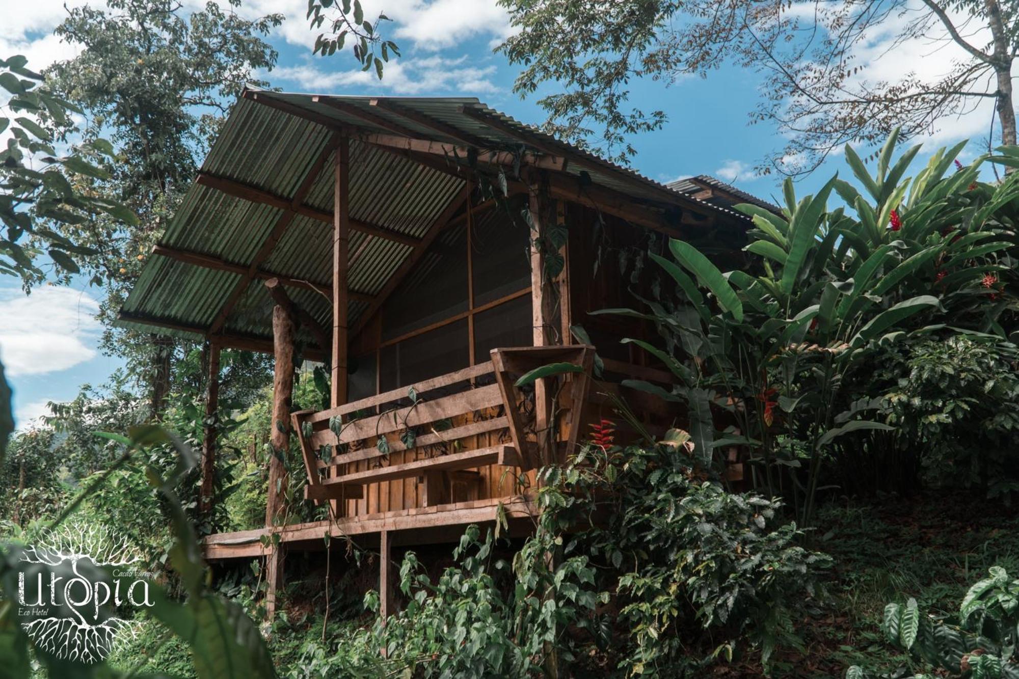 Triple Room with Bath photo 3