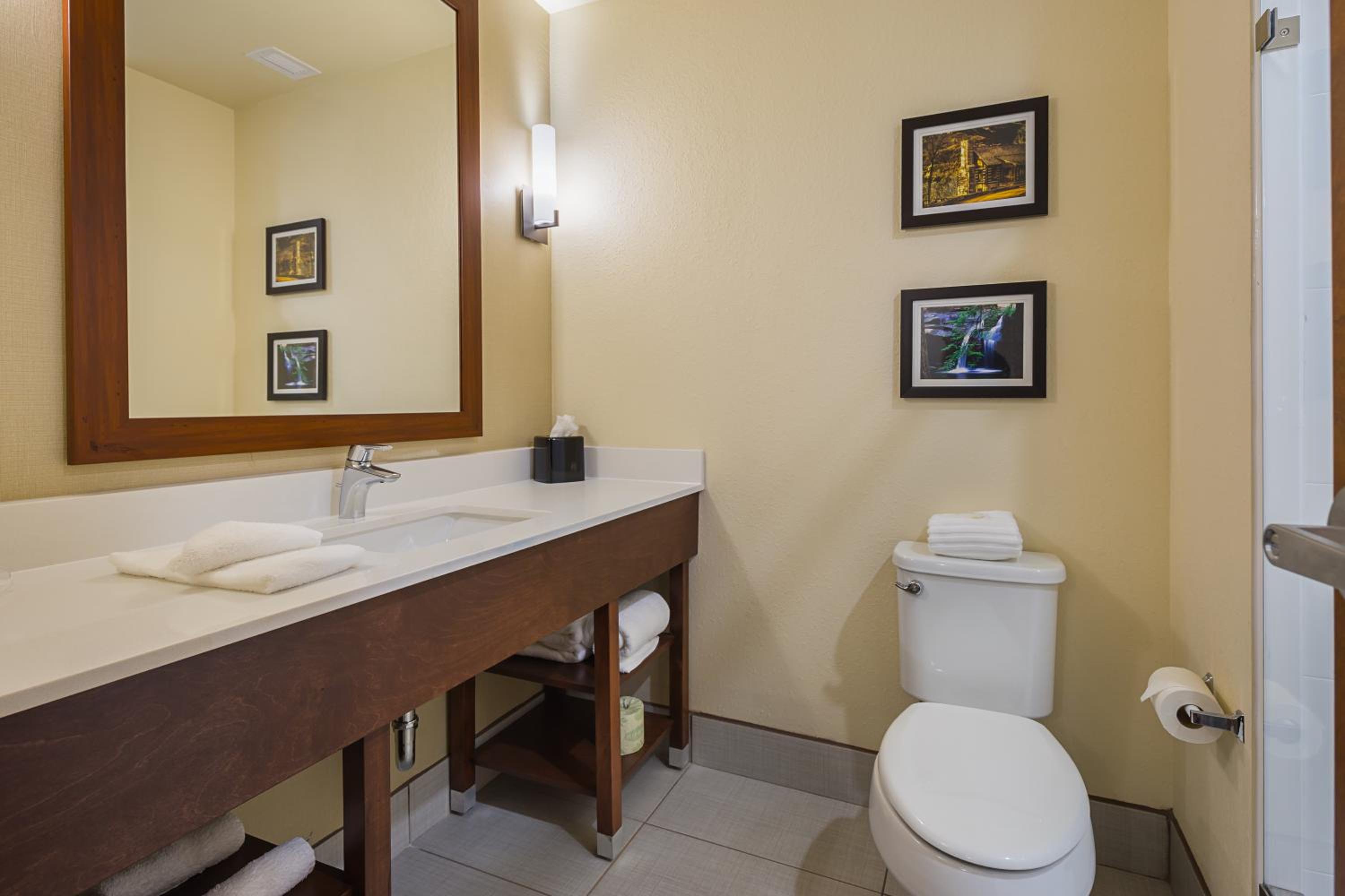 King Suite - Non-Smoking photo 3