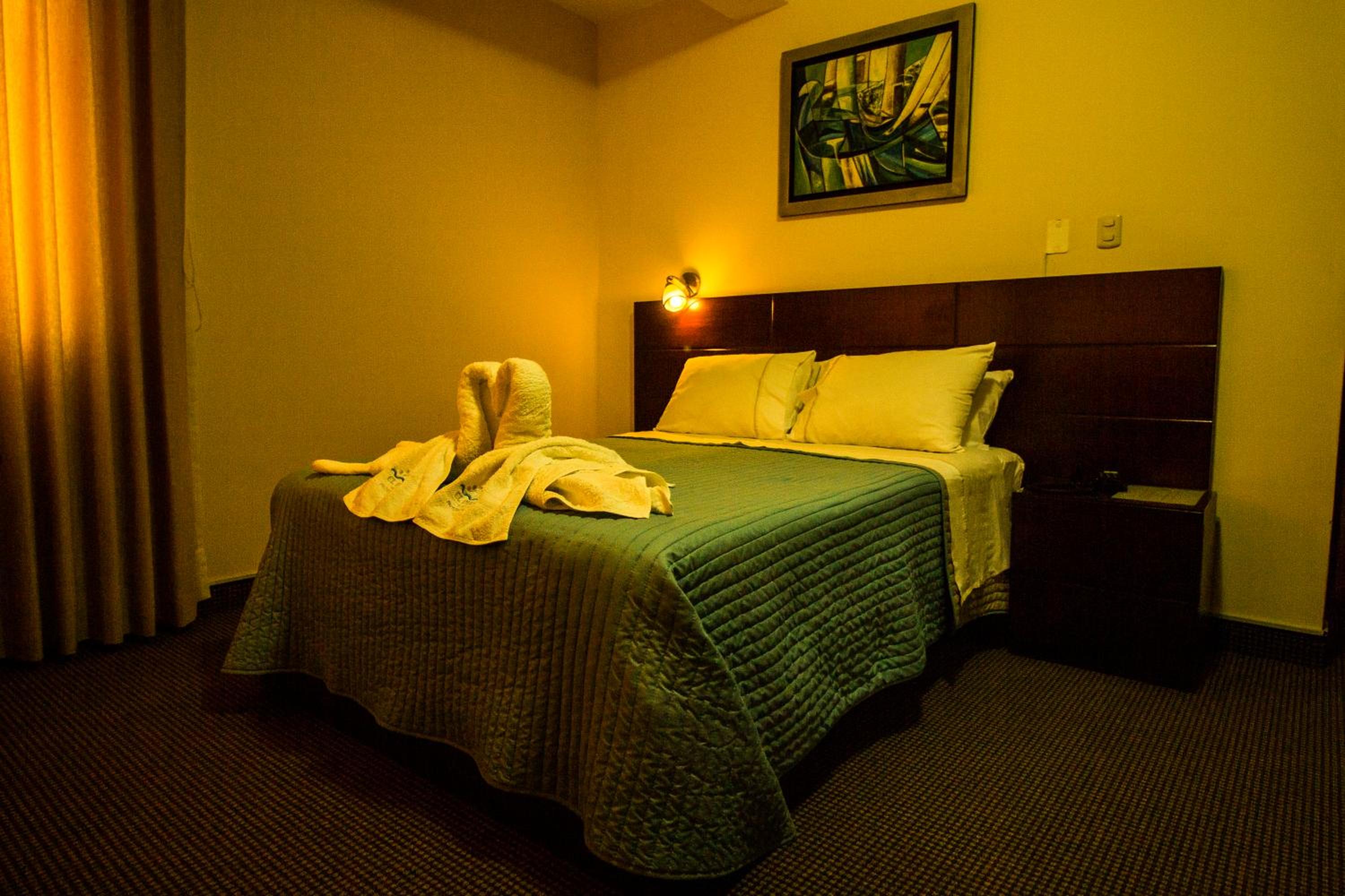 Double Room photo 1