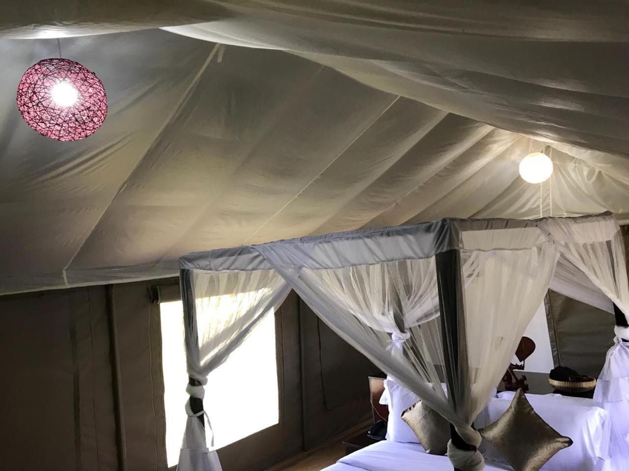 Tent - Photo 3