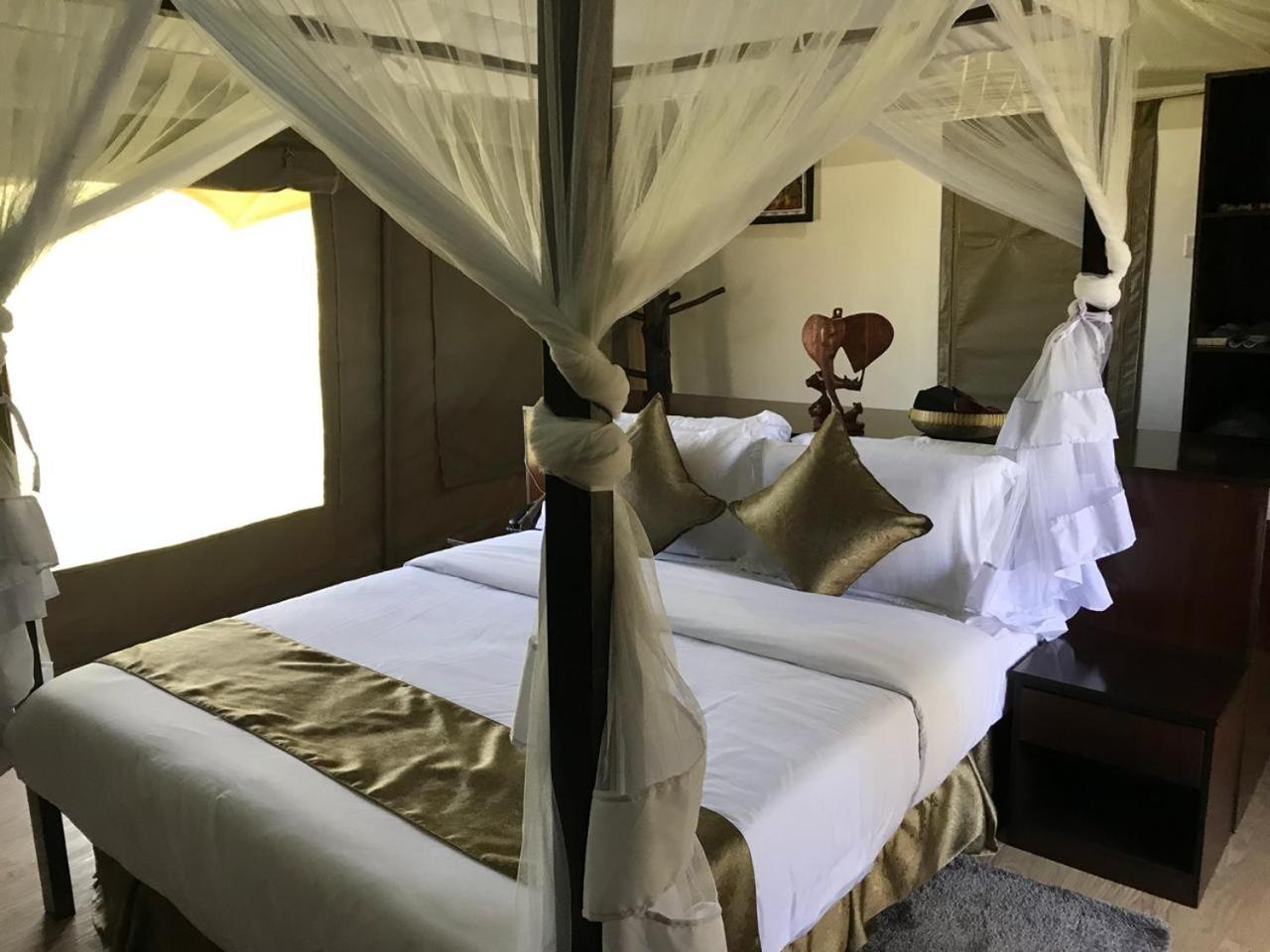 Tent - Photo 9
