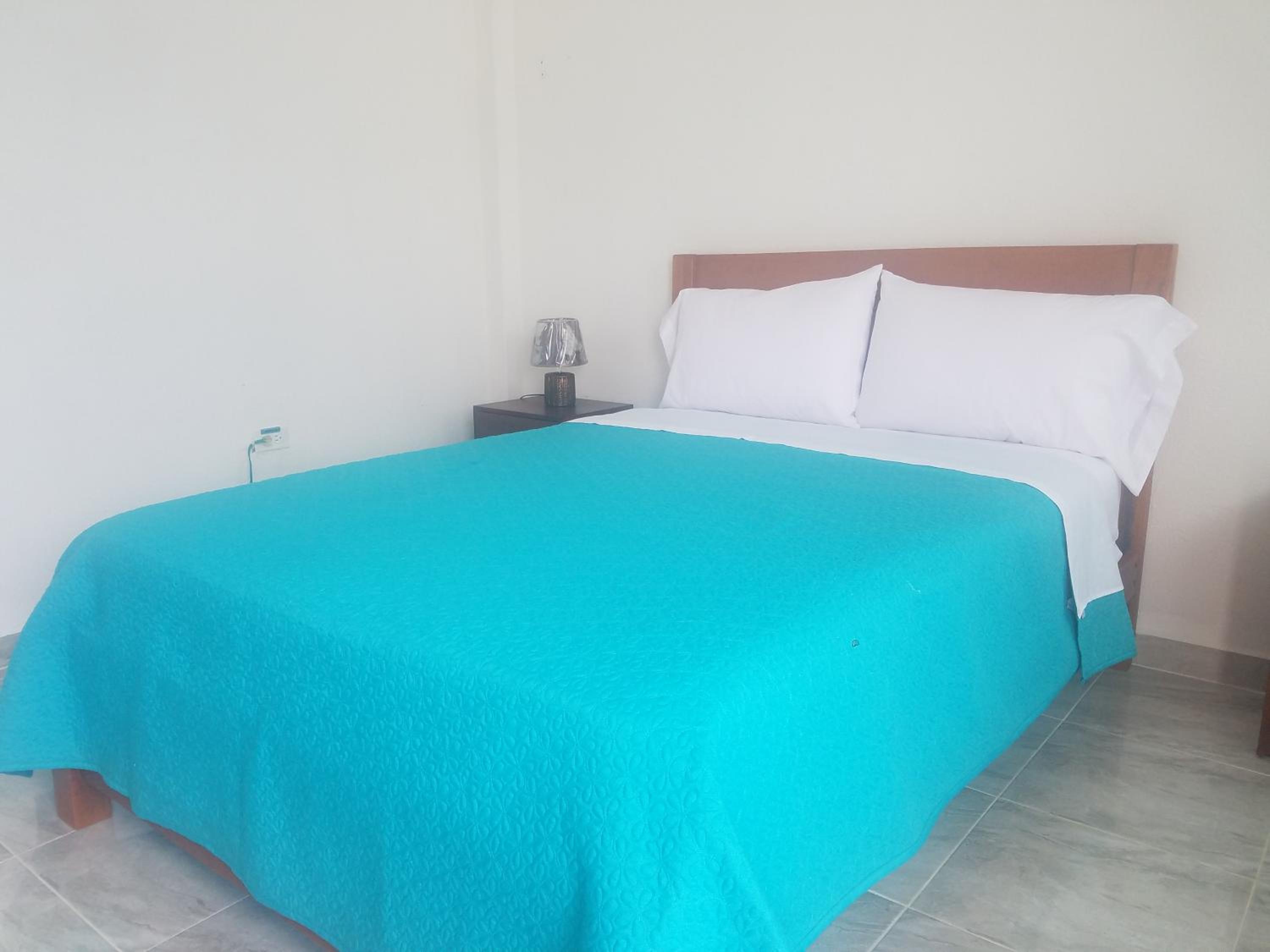 Deluxe Double Room photo 3
