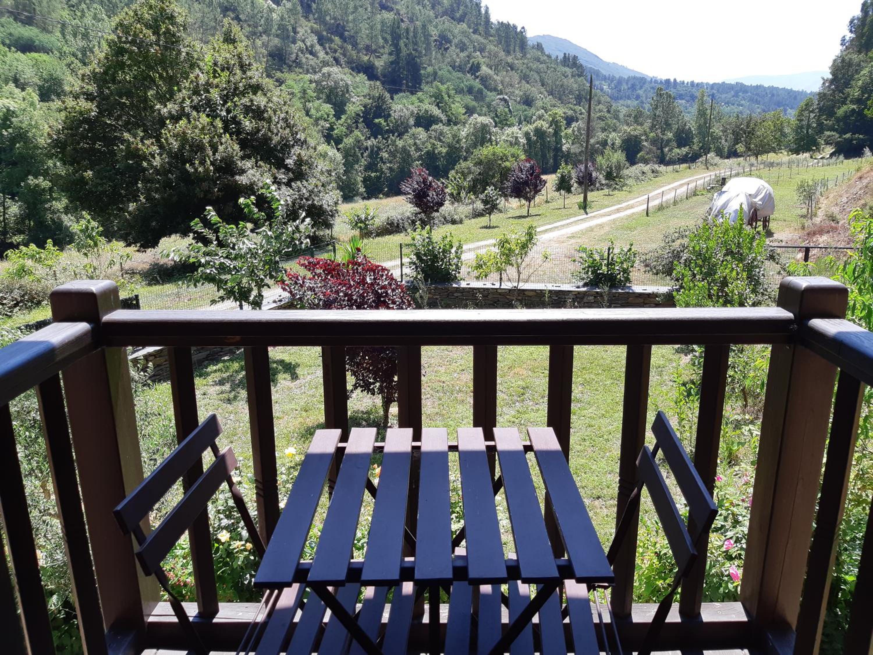 Standard Twin Room with Garden View photo 3
