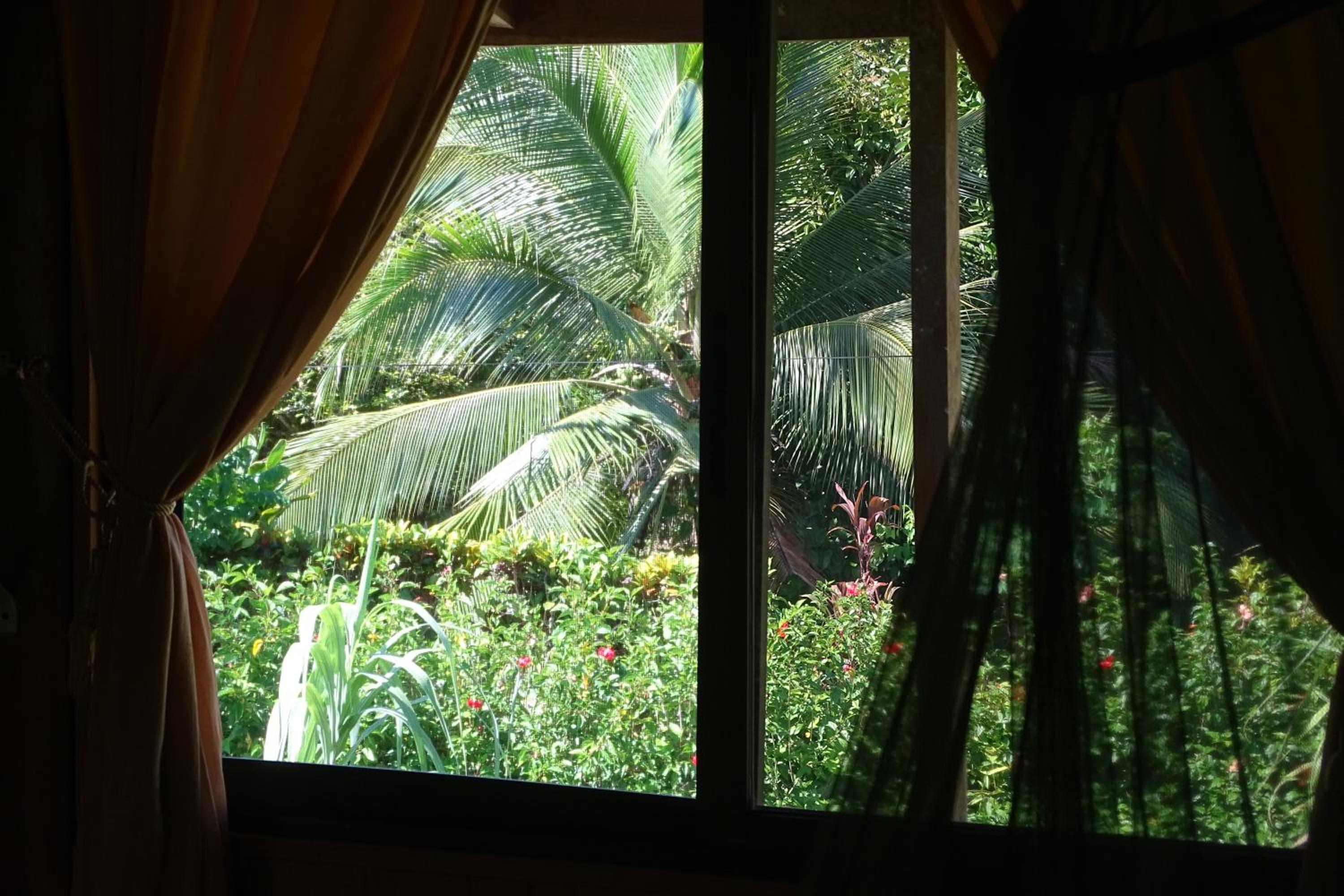 Studio With Balcony photo 2