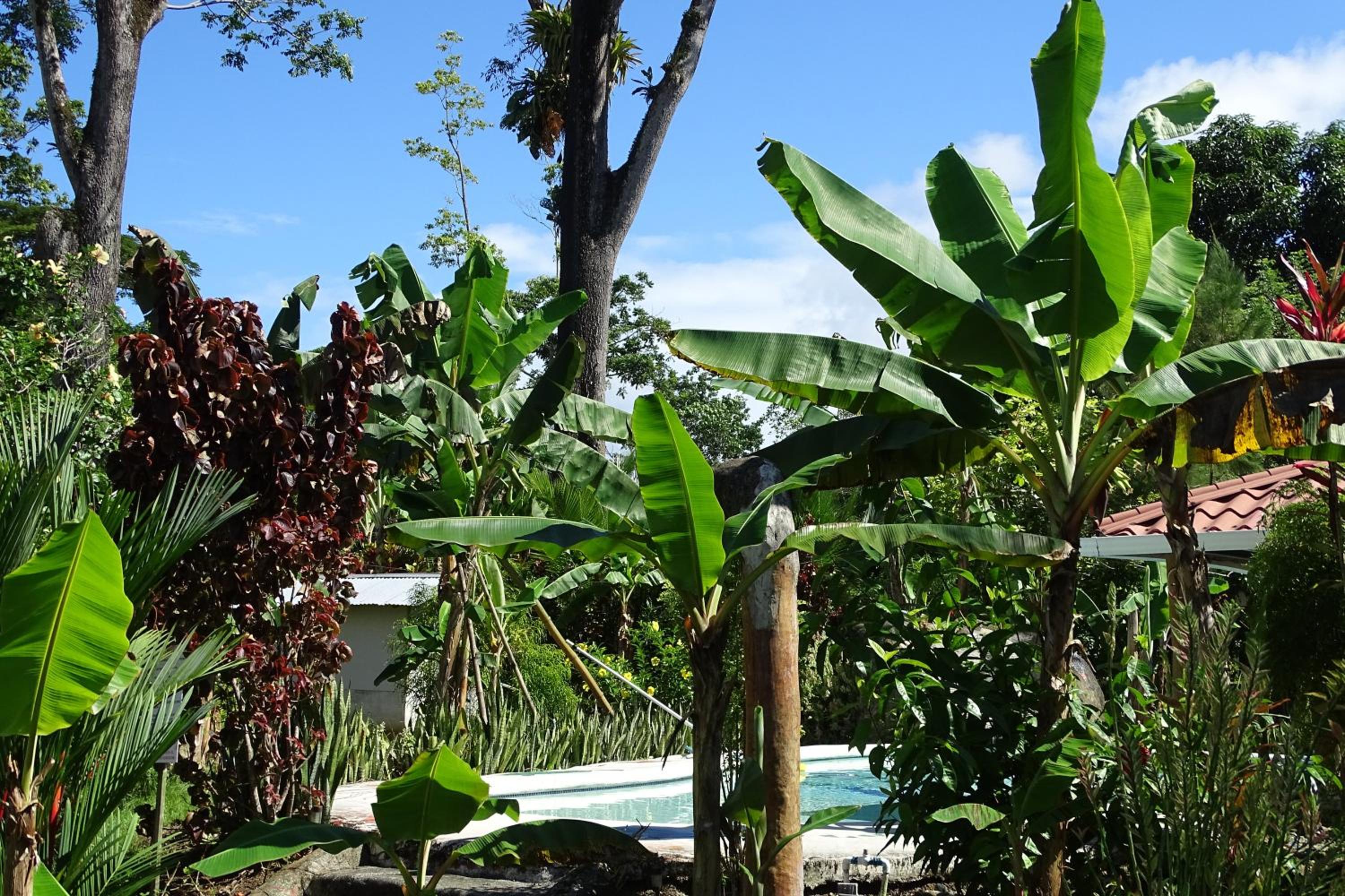 Studio With Pool View photo 2
