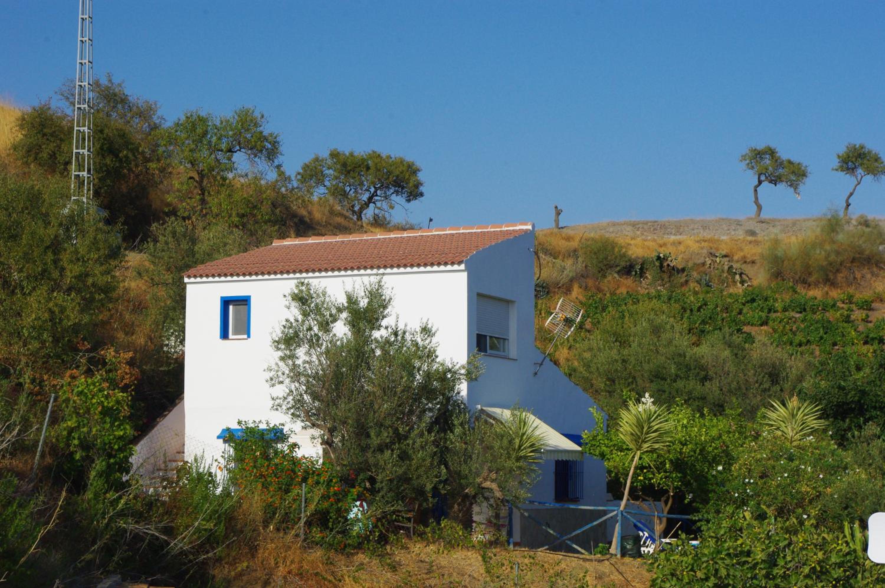 One-Bedroom House photo 2