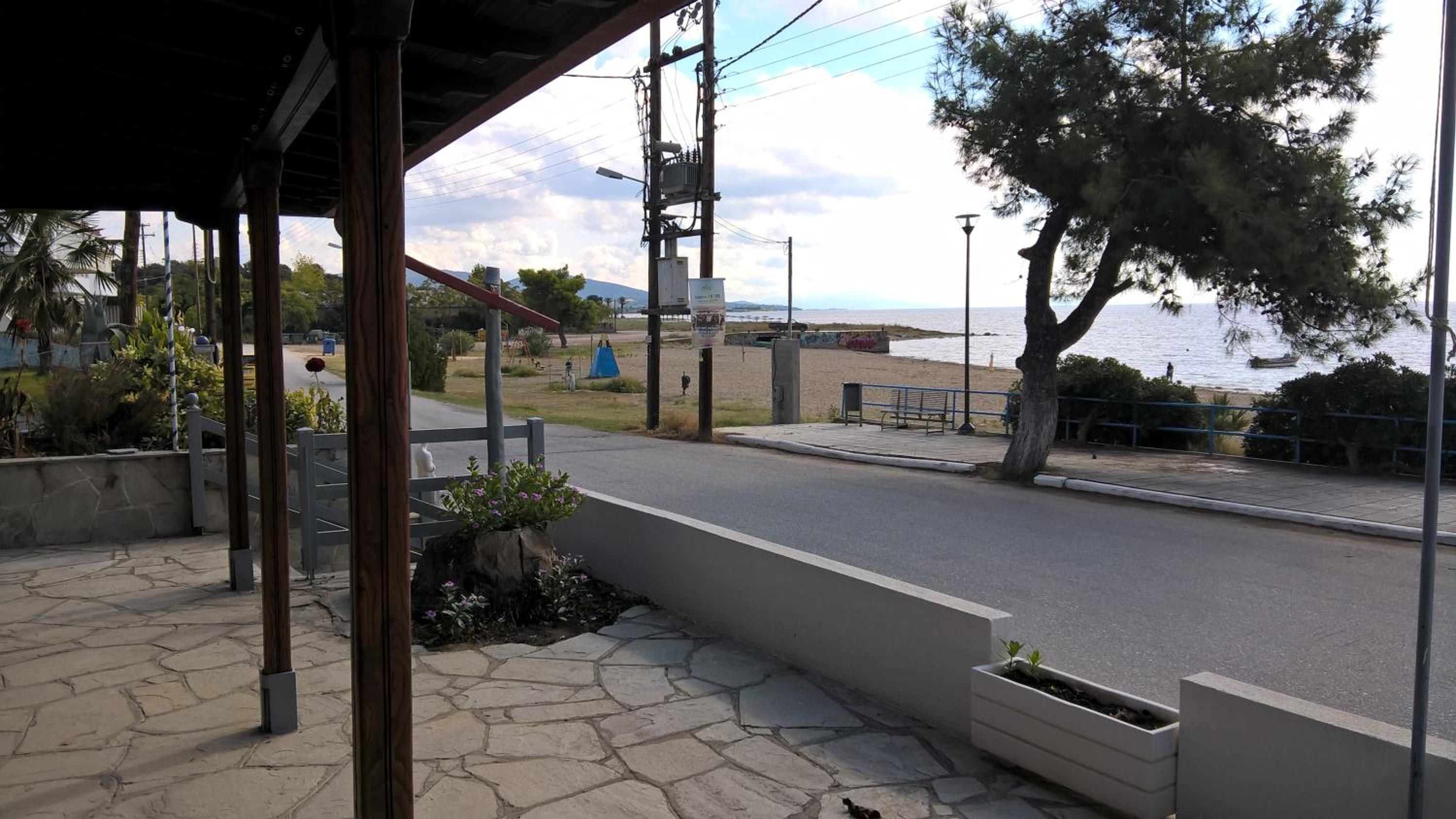 Apartment with Terrace photo 2
