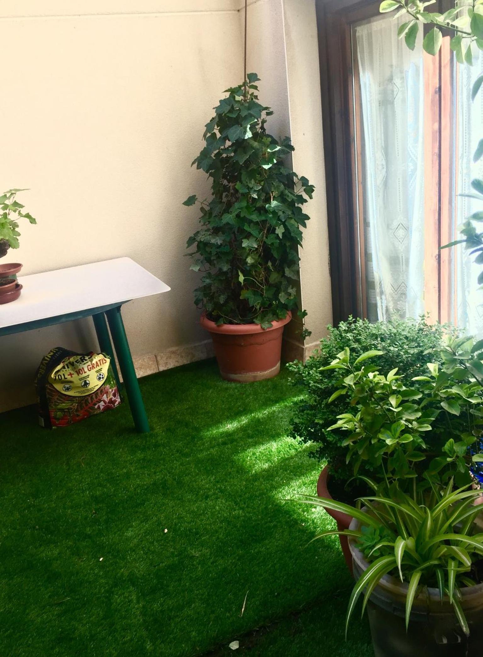 Apartment - Photo 12