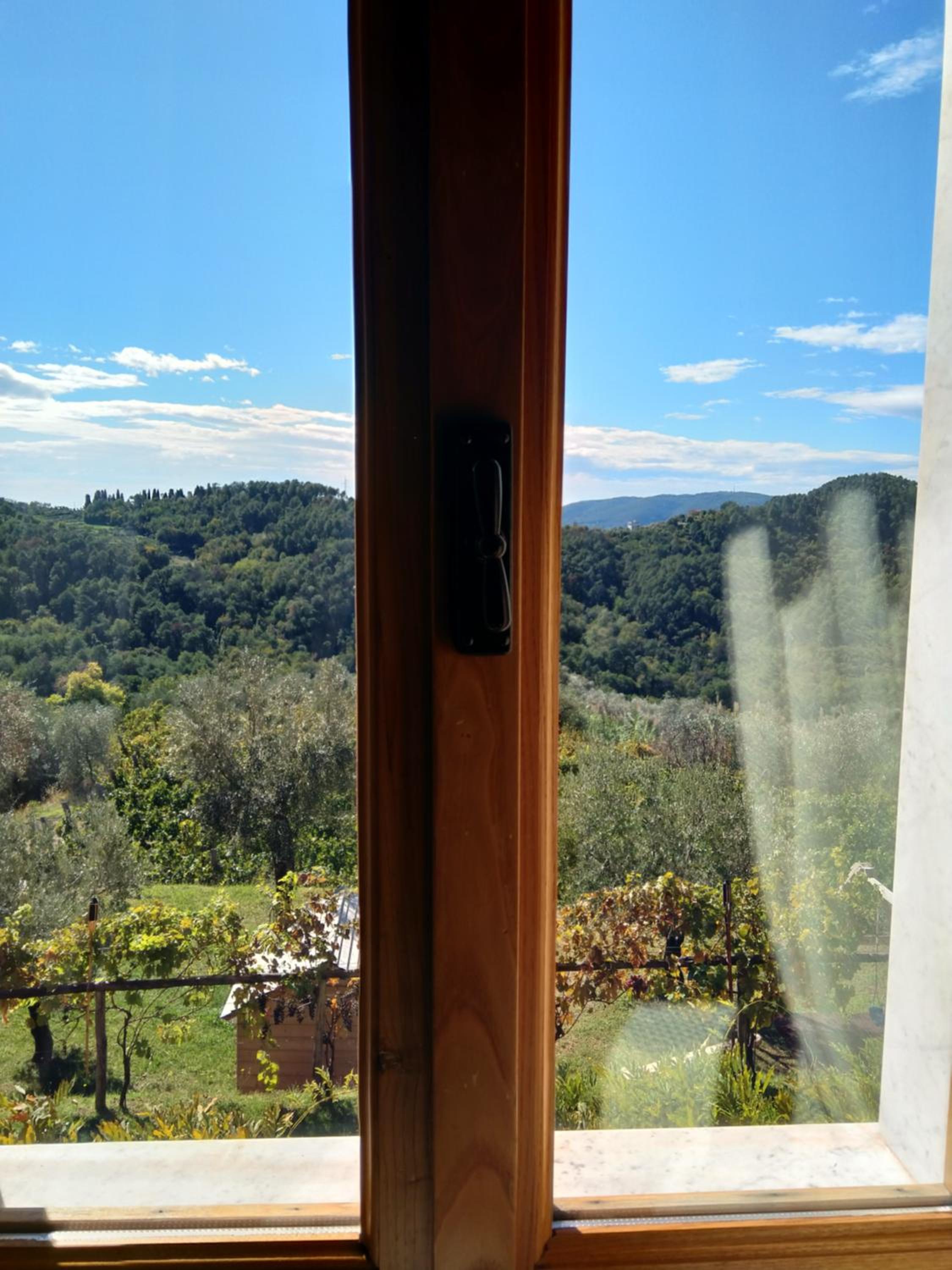 Double Room with Garden View photo 2