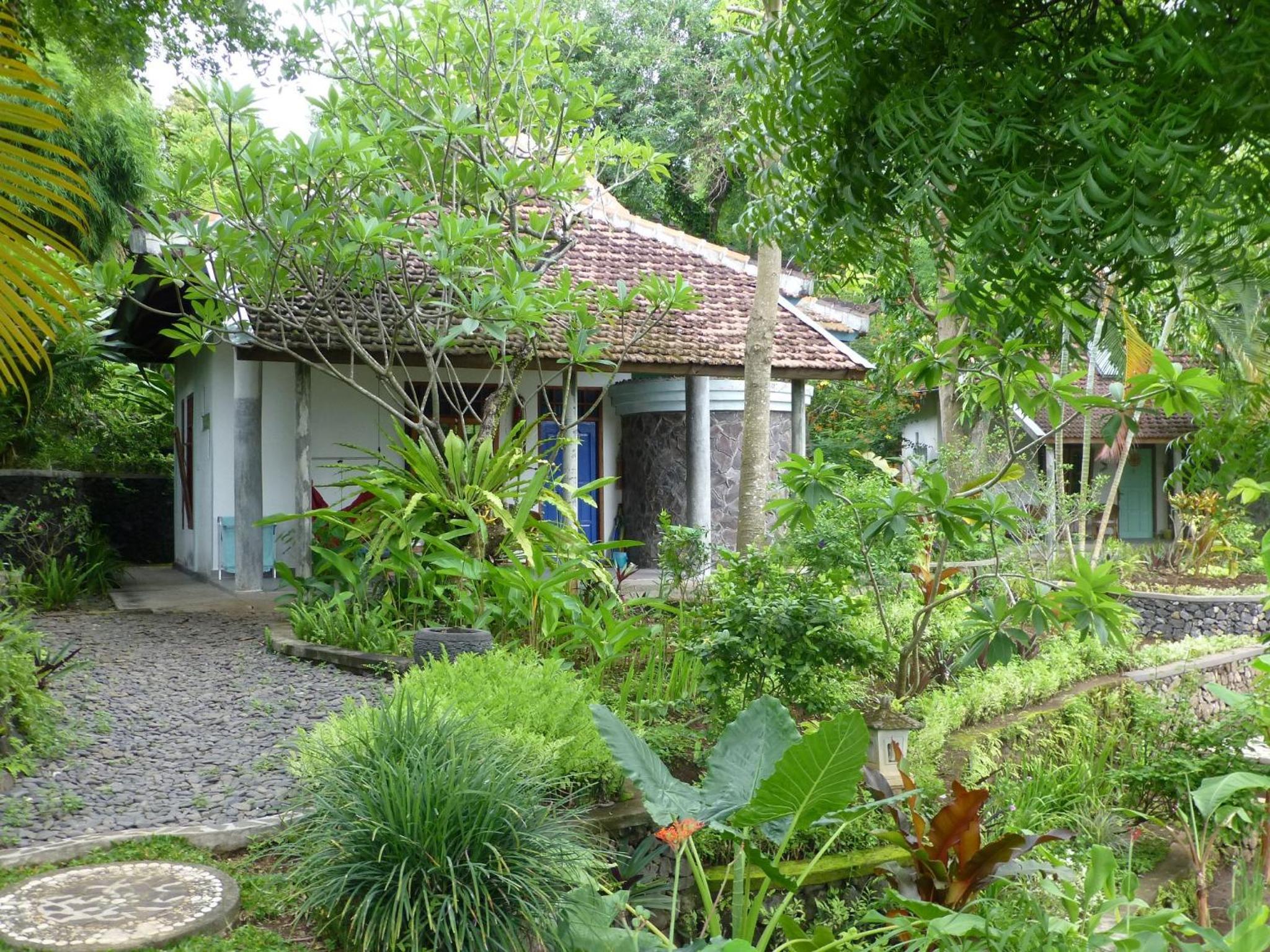 Deluxe Bungalow with Garden View photo 3