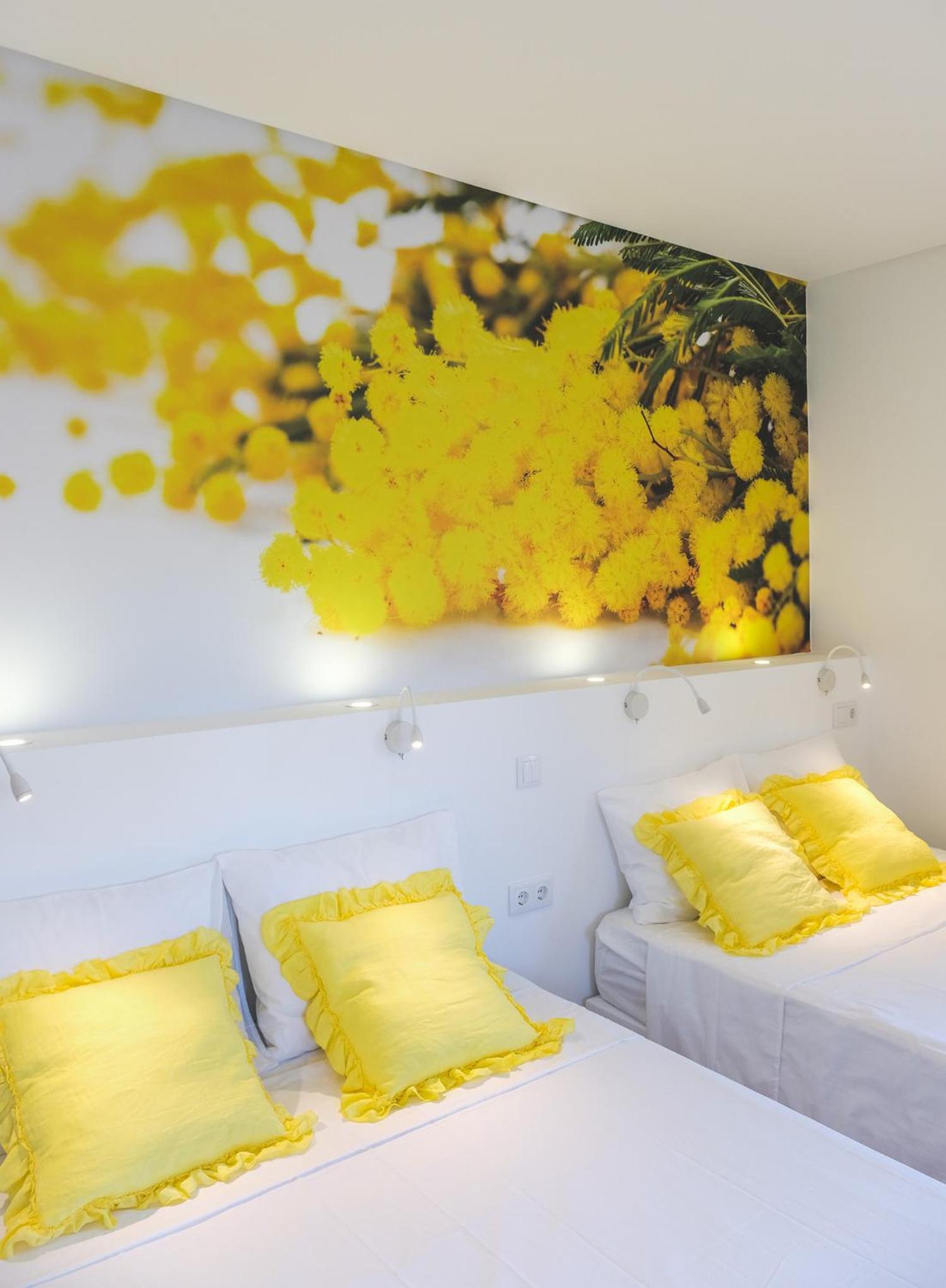 Family Suite photo 1