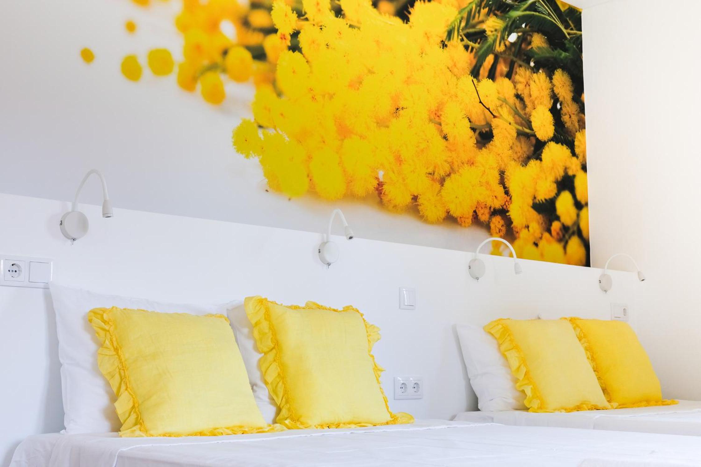 Family Suite photo 2