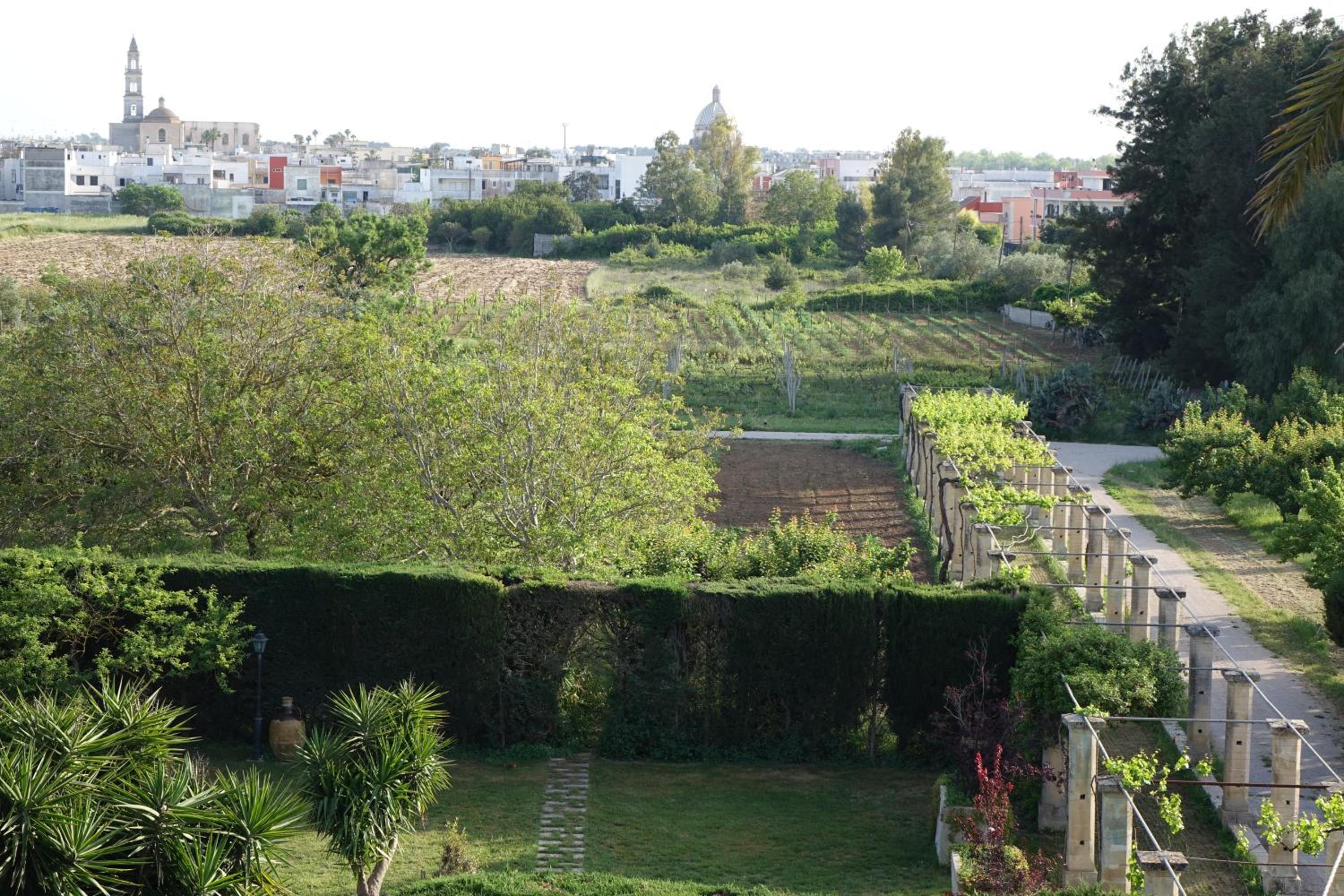 Double Room with Terrace photo 3