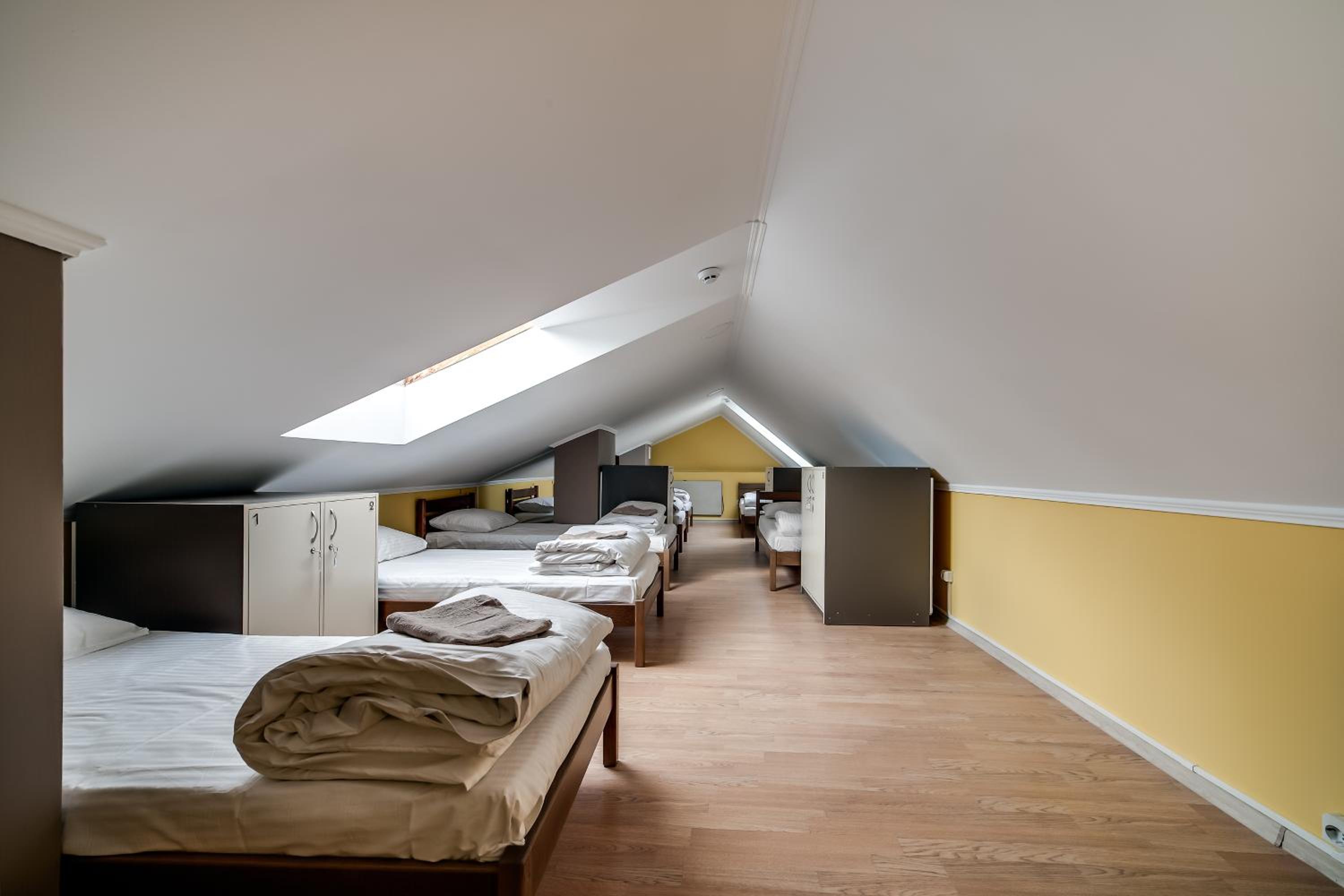 Single Bed in Mixed Dormitory Room photo 3