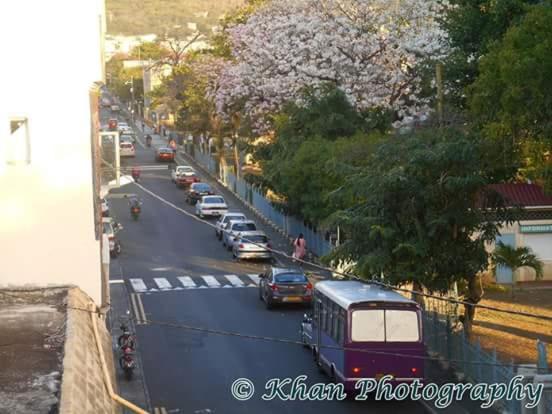 Double Room with Balcony - Photo 10
