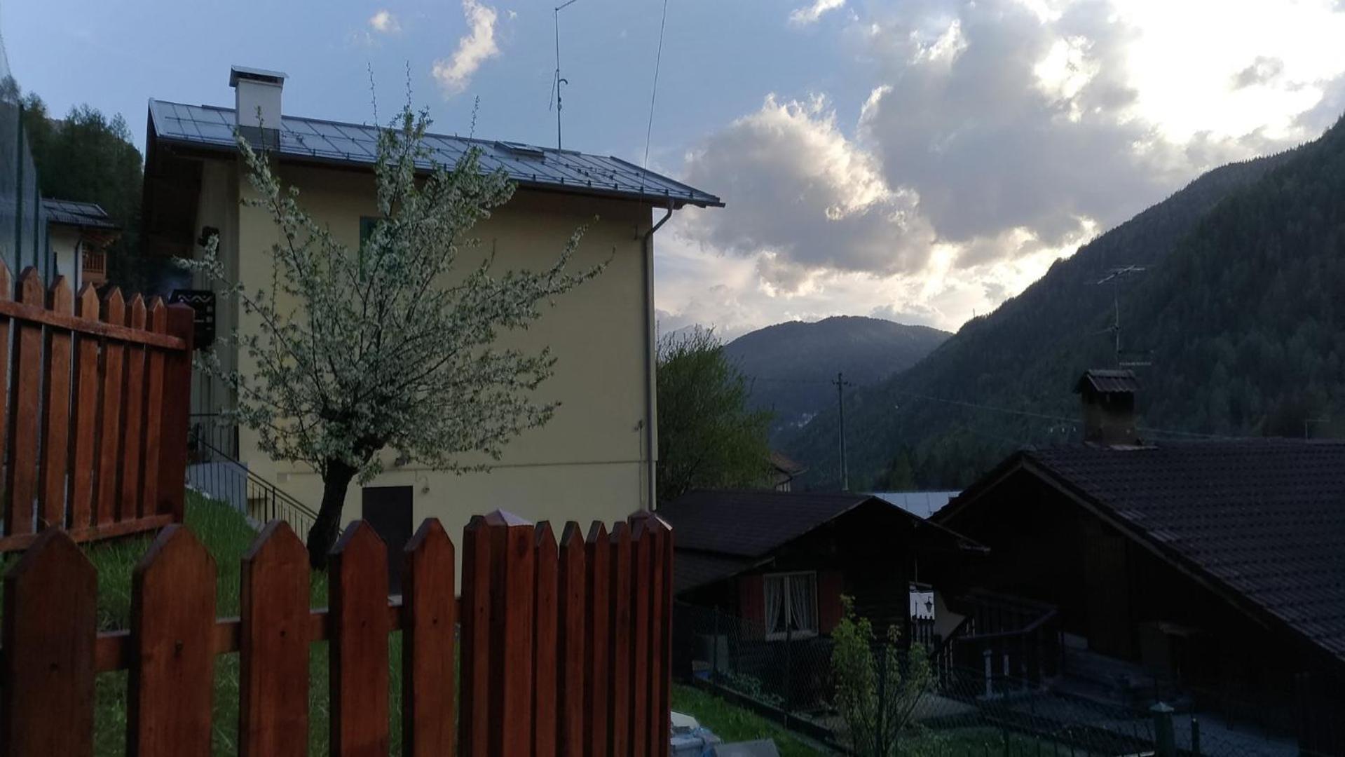 Apartment With Garden View photo 3