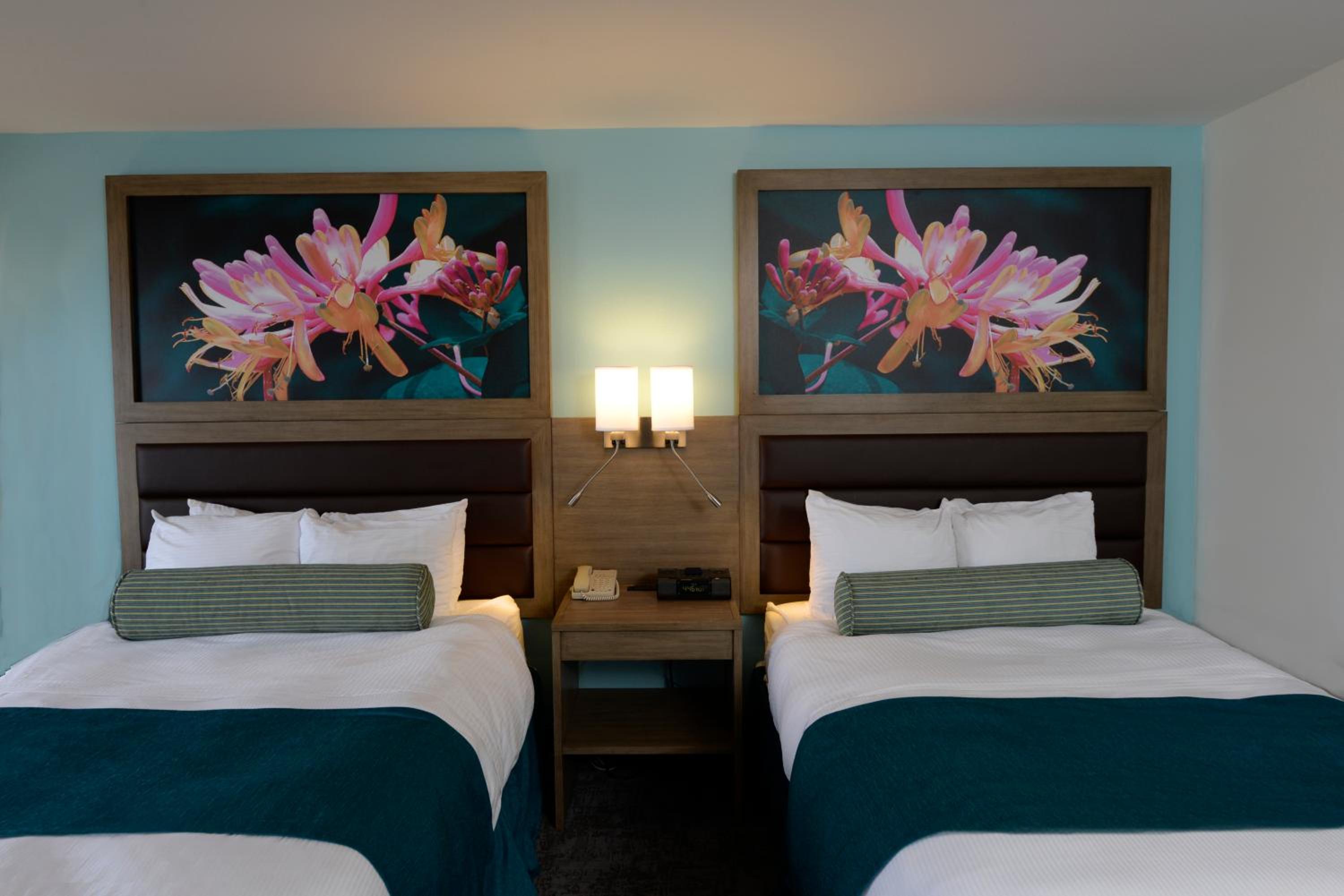 Standard Double Room - Photo 4