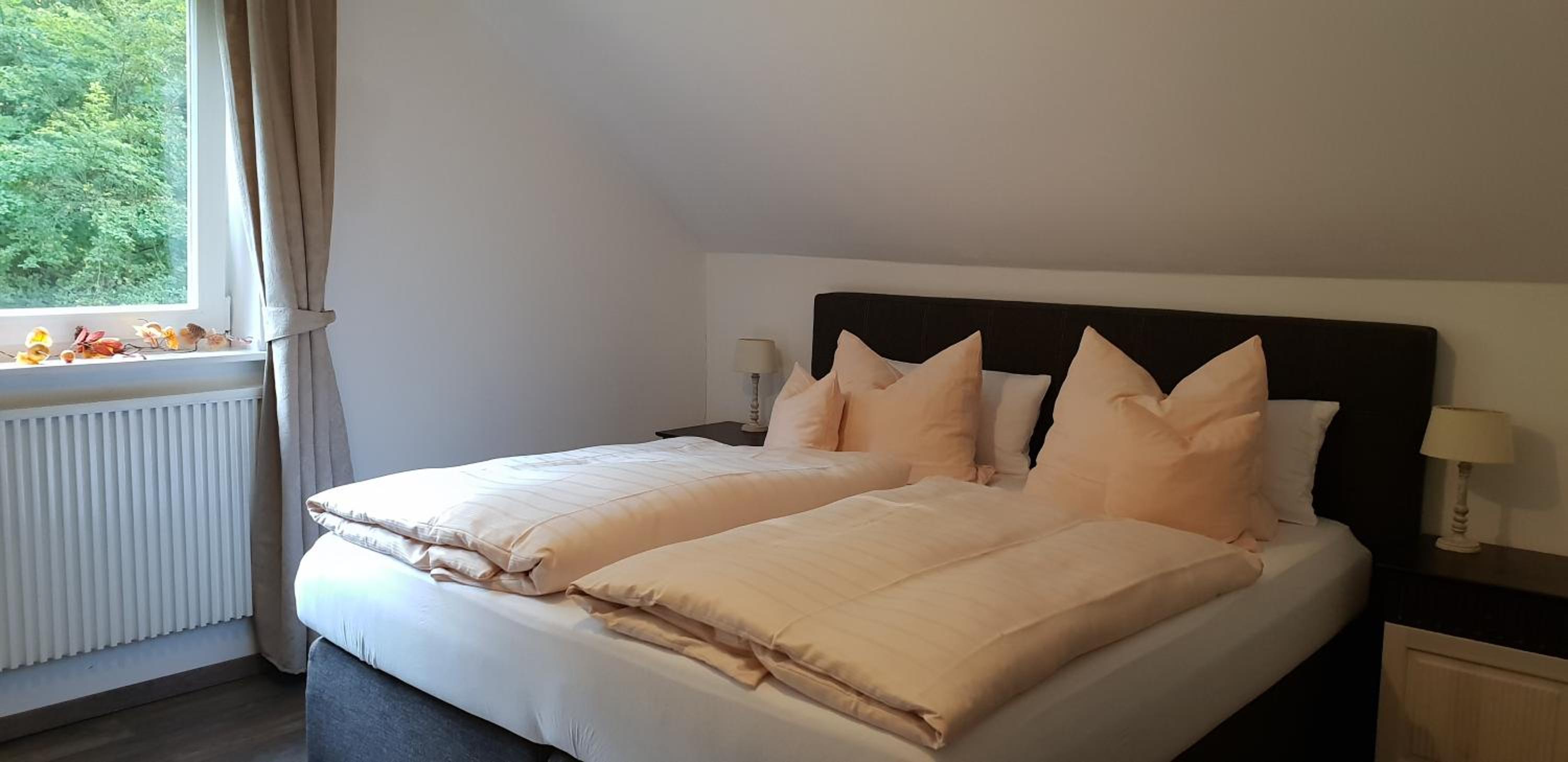 Large Double Room photo 2