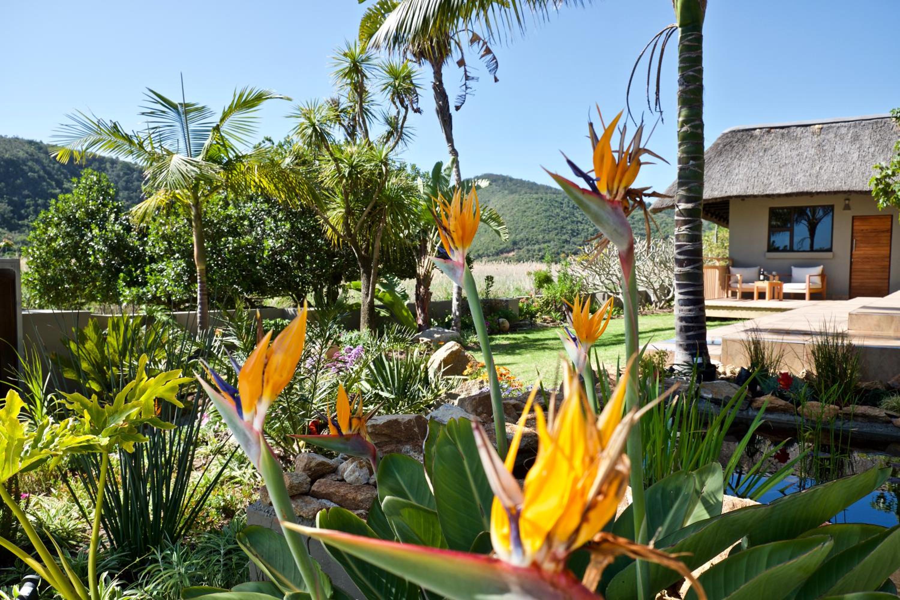 Bungalow photo 2