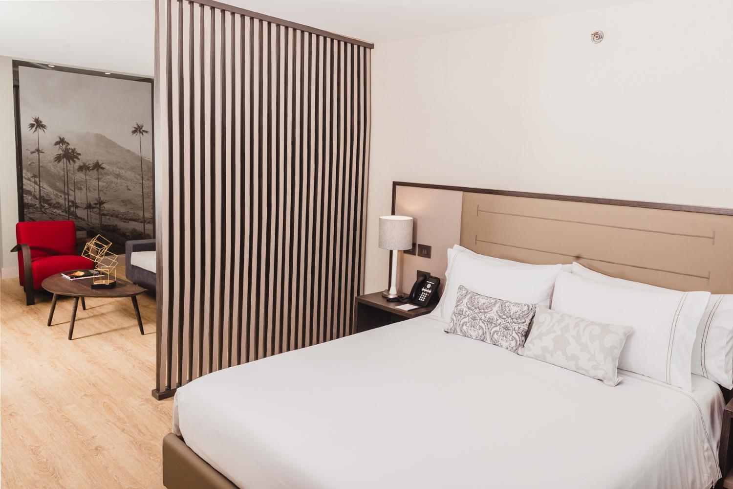 Deluxe Junior Suite photo 2