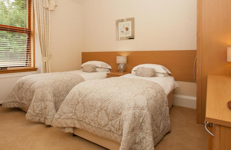 Deluxe Twin Room photo 2
