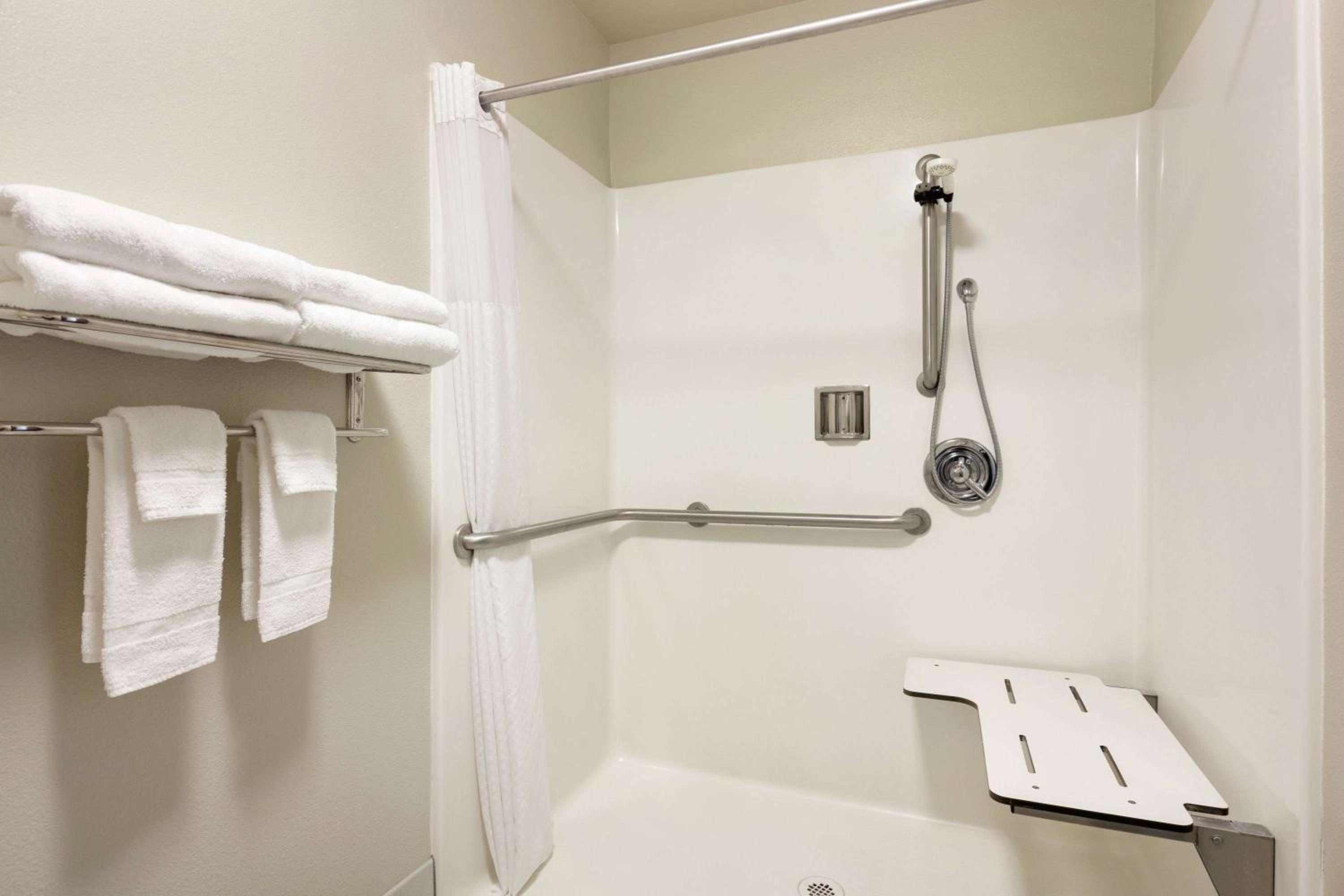 1 King Bed, Mobility/Hearing Accessible Room, Roll-In Shower, Non-Smoking - Photo 3