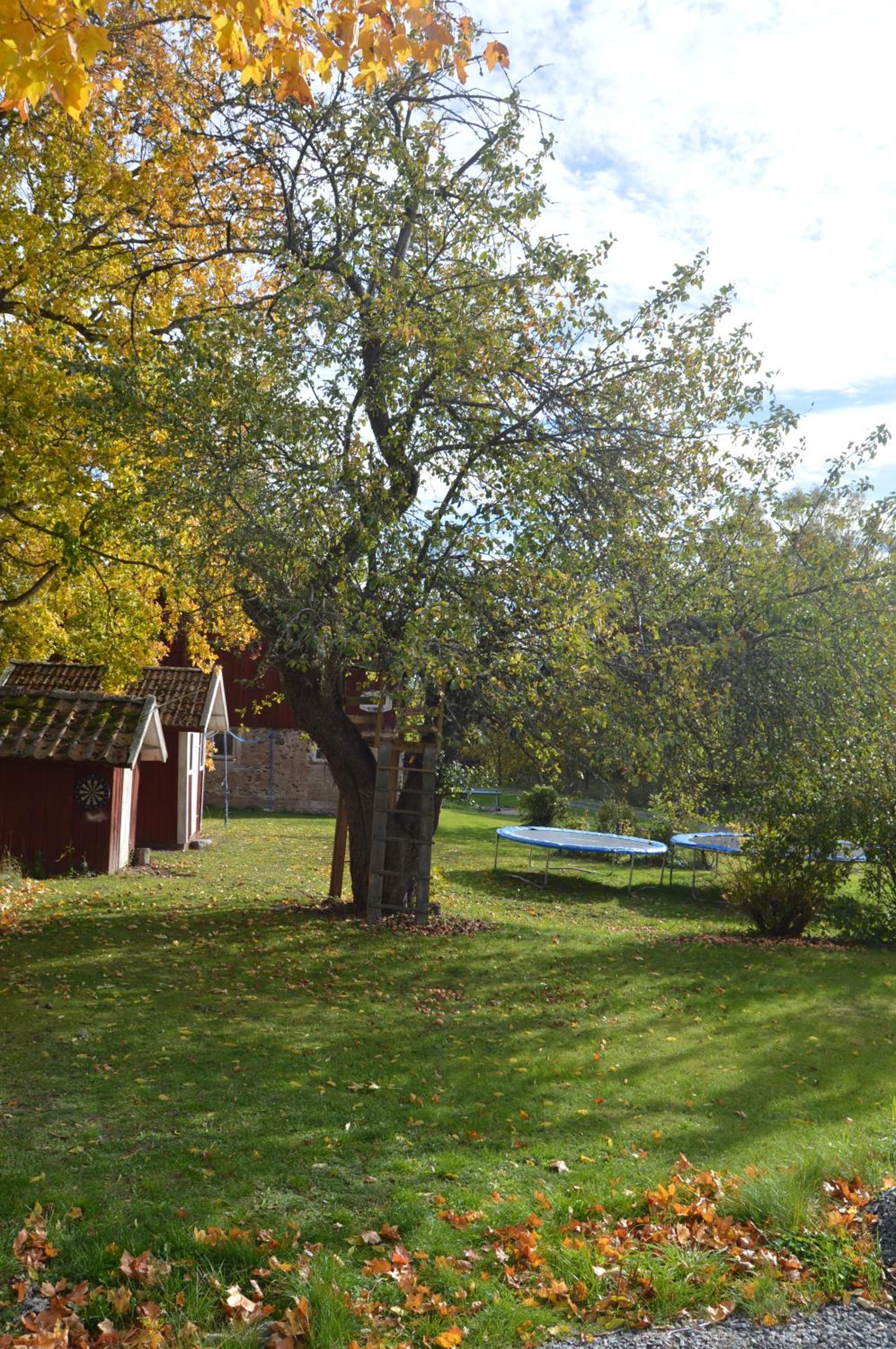 Deluxe Villa photo 3