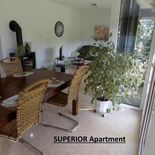 Superior One-Bedroom Apartment photo 3