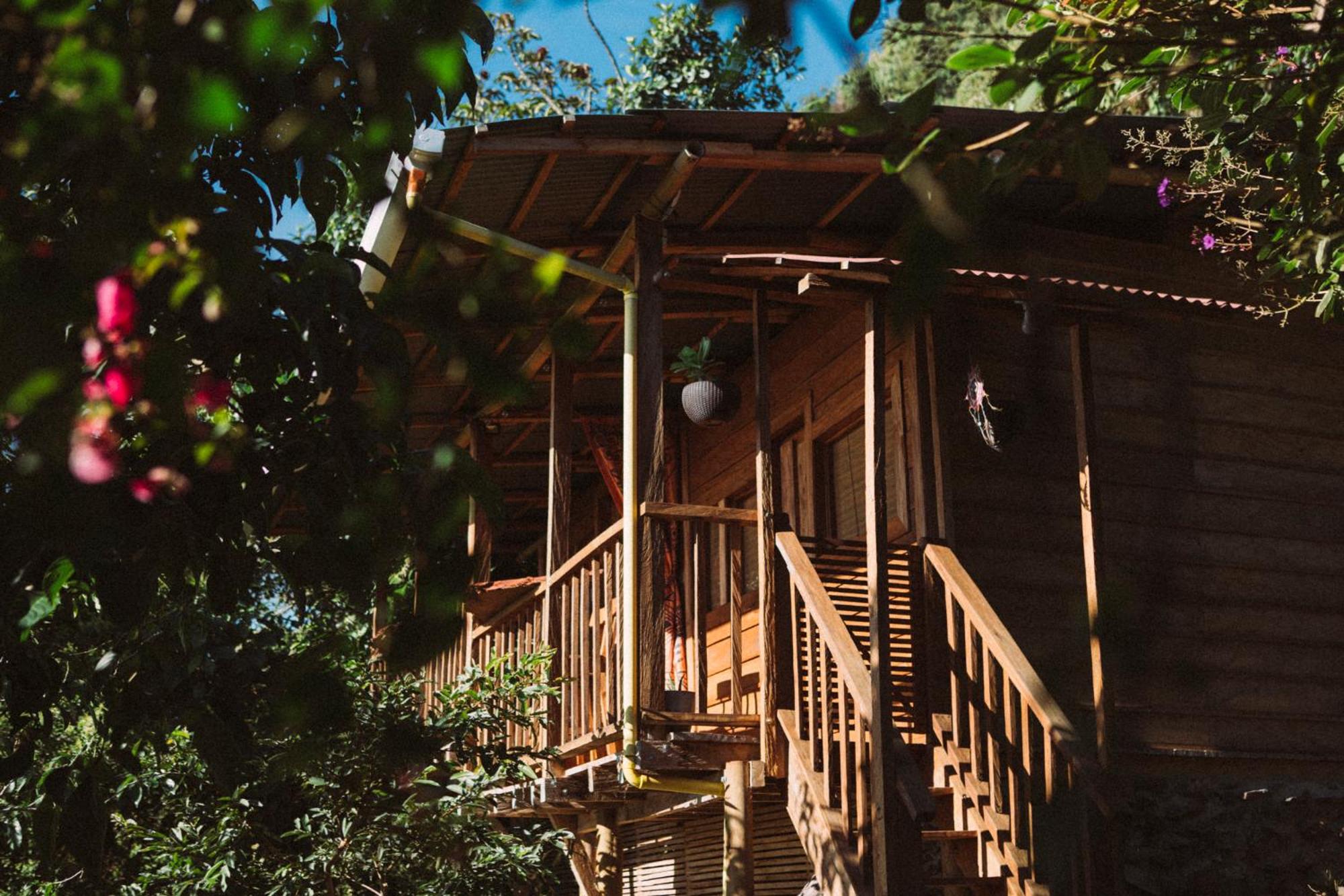 Chalet photo 3