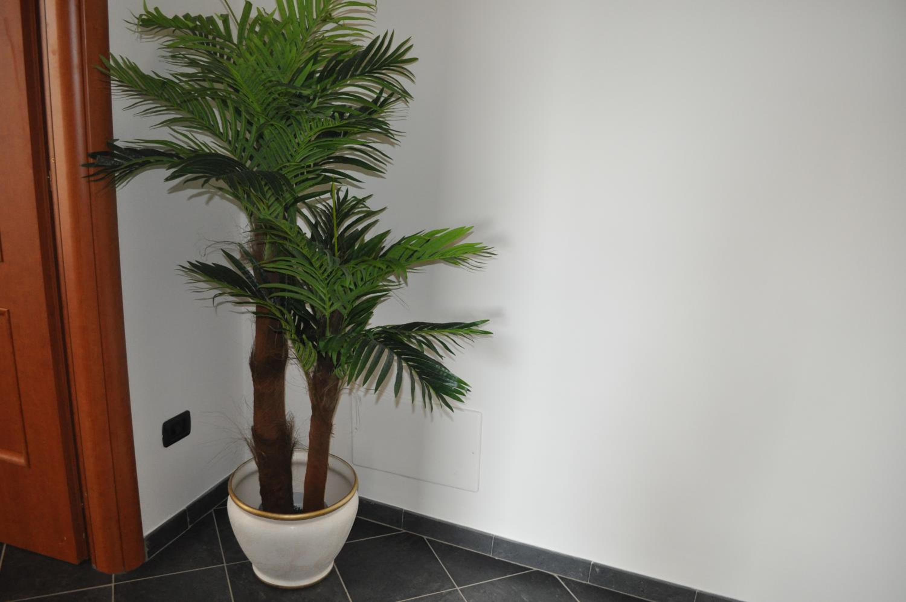 Apartment - Photo 26