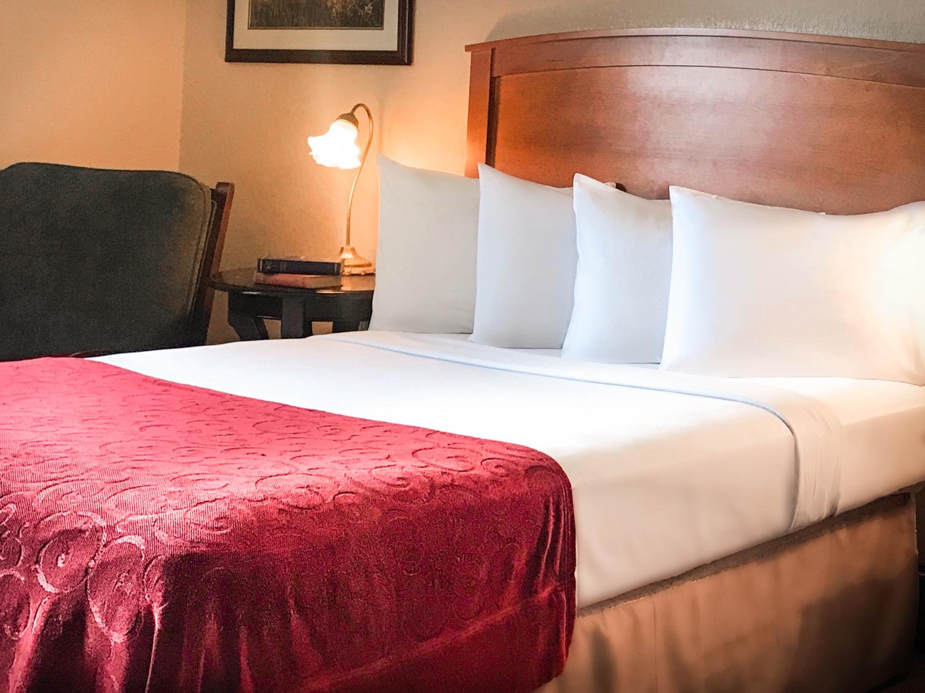 Queen Room with Two Queen Beds photo 1