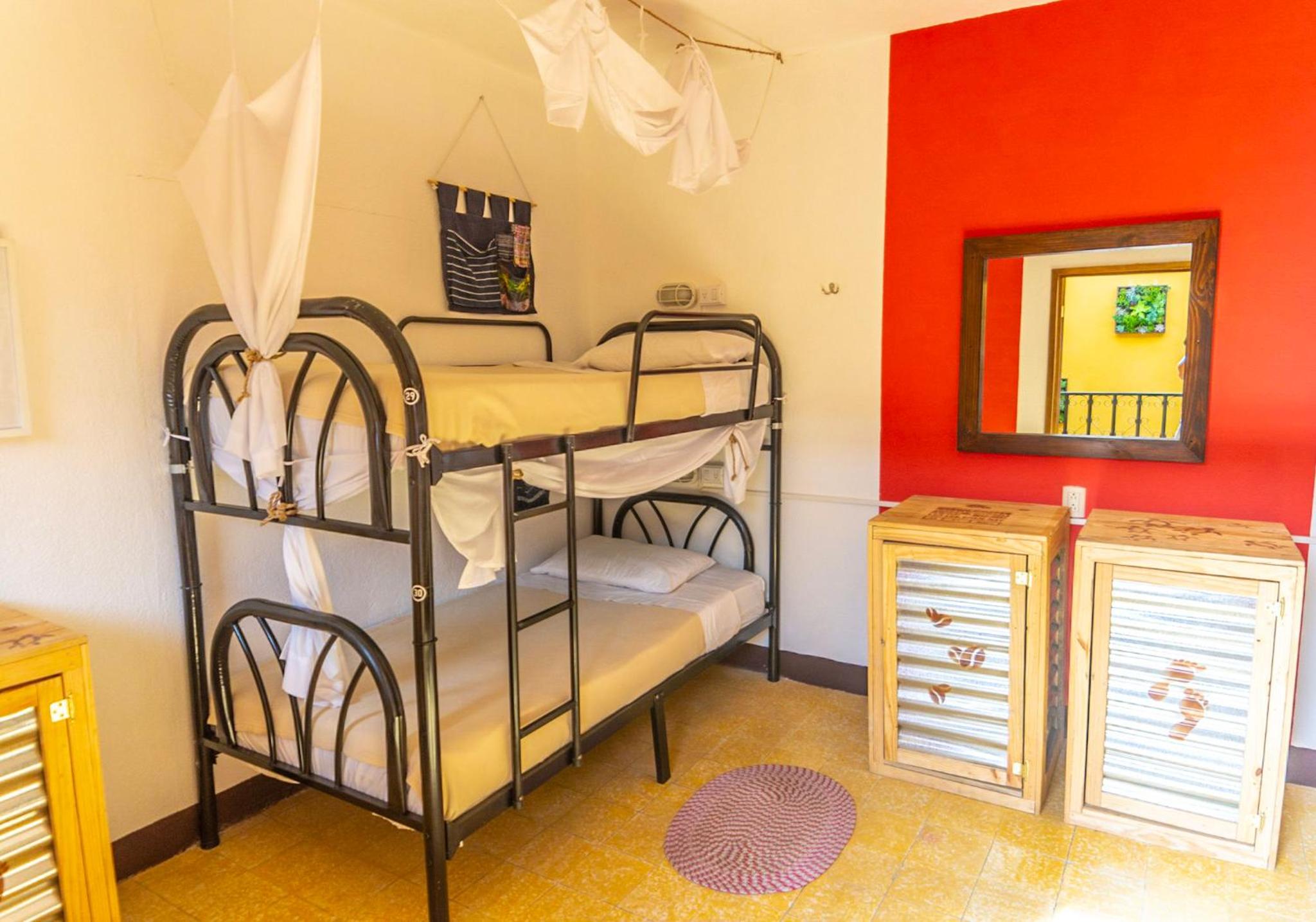 Bed in 4-Bed Female Dormitory Room photo 1
