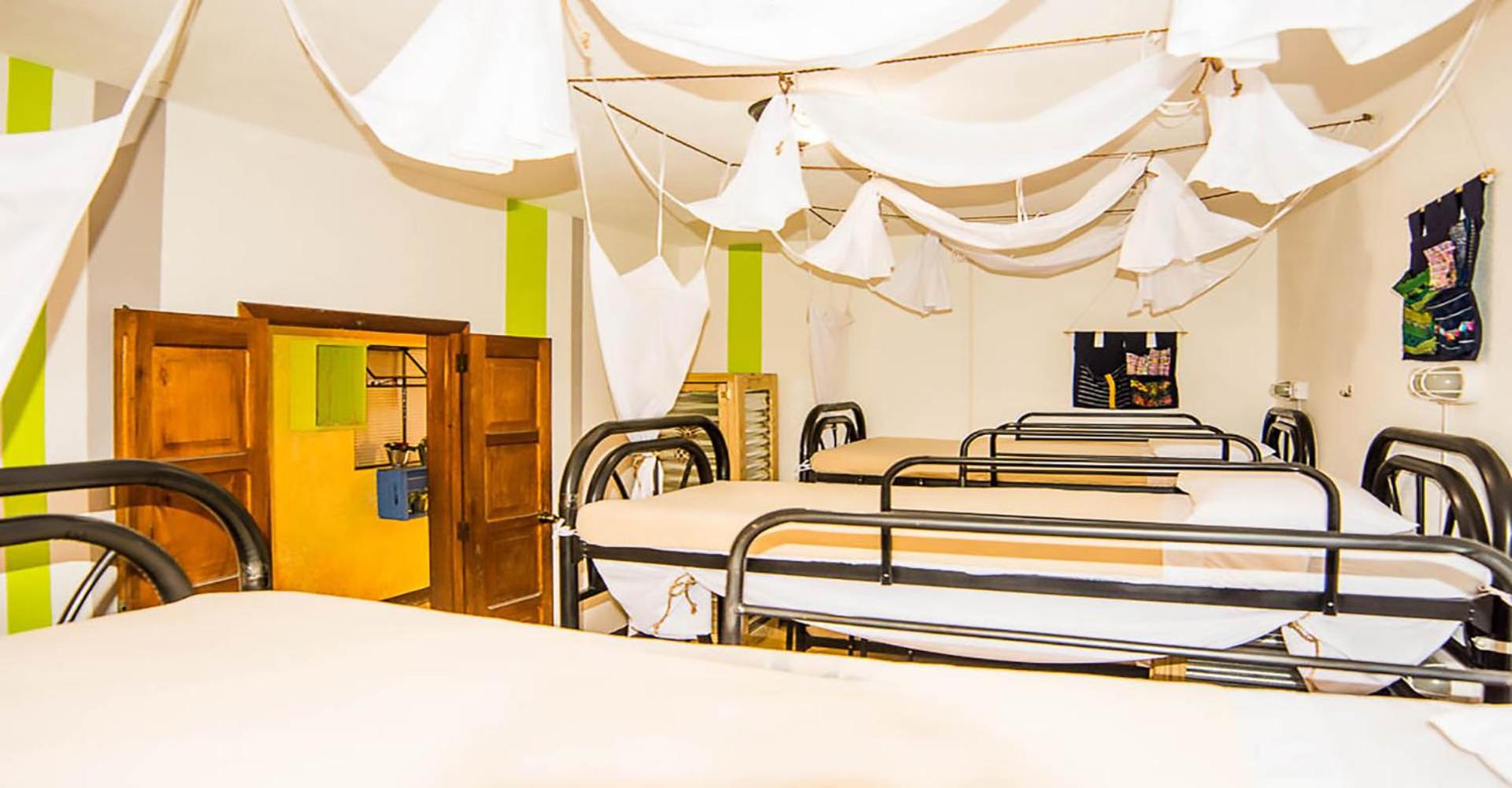 Bed in 6-Bed Mixed Dormitory Room photo 1