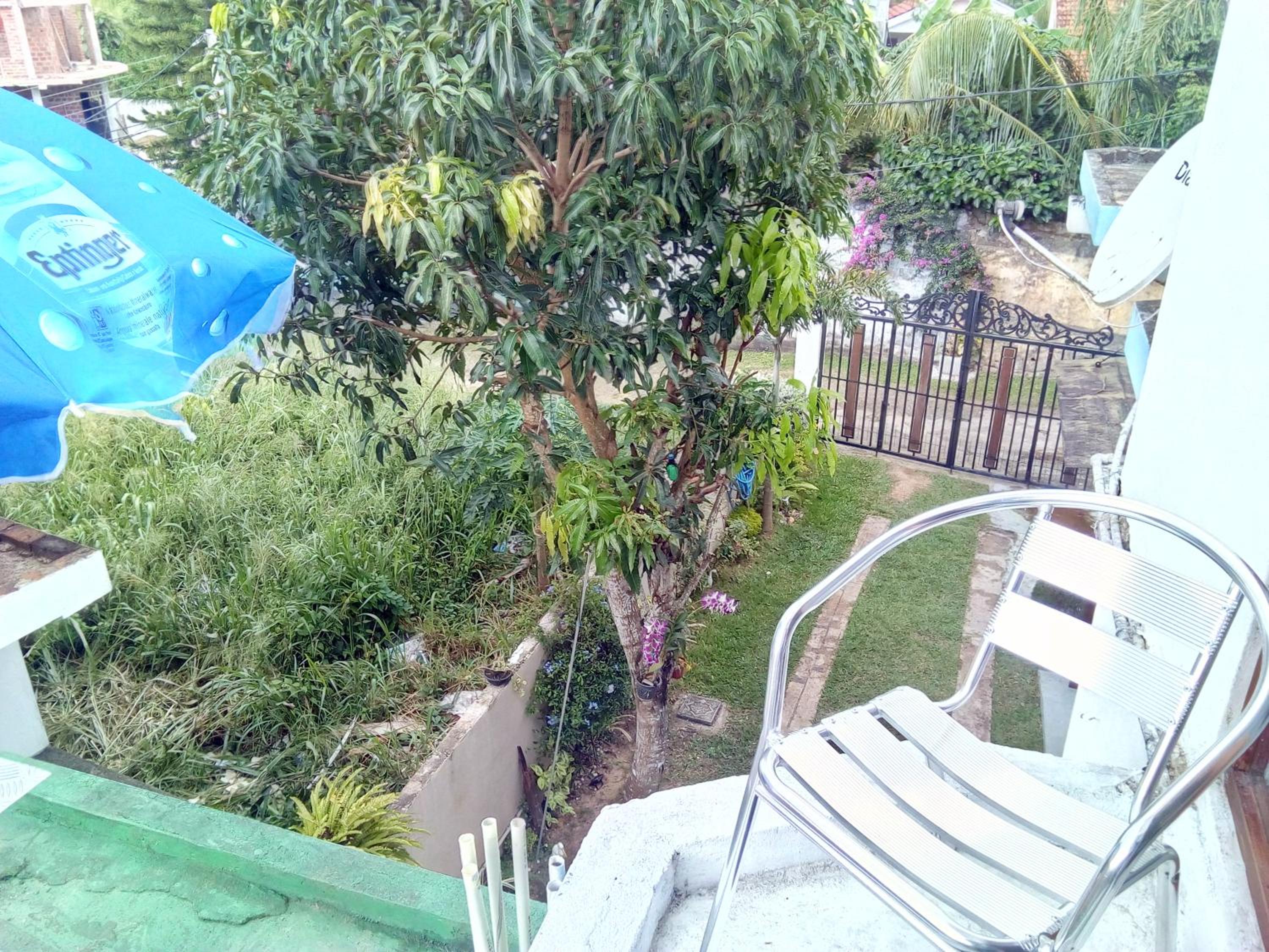 King Room with Garden View photo 2