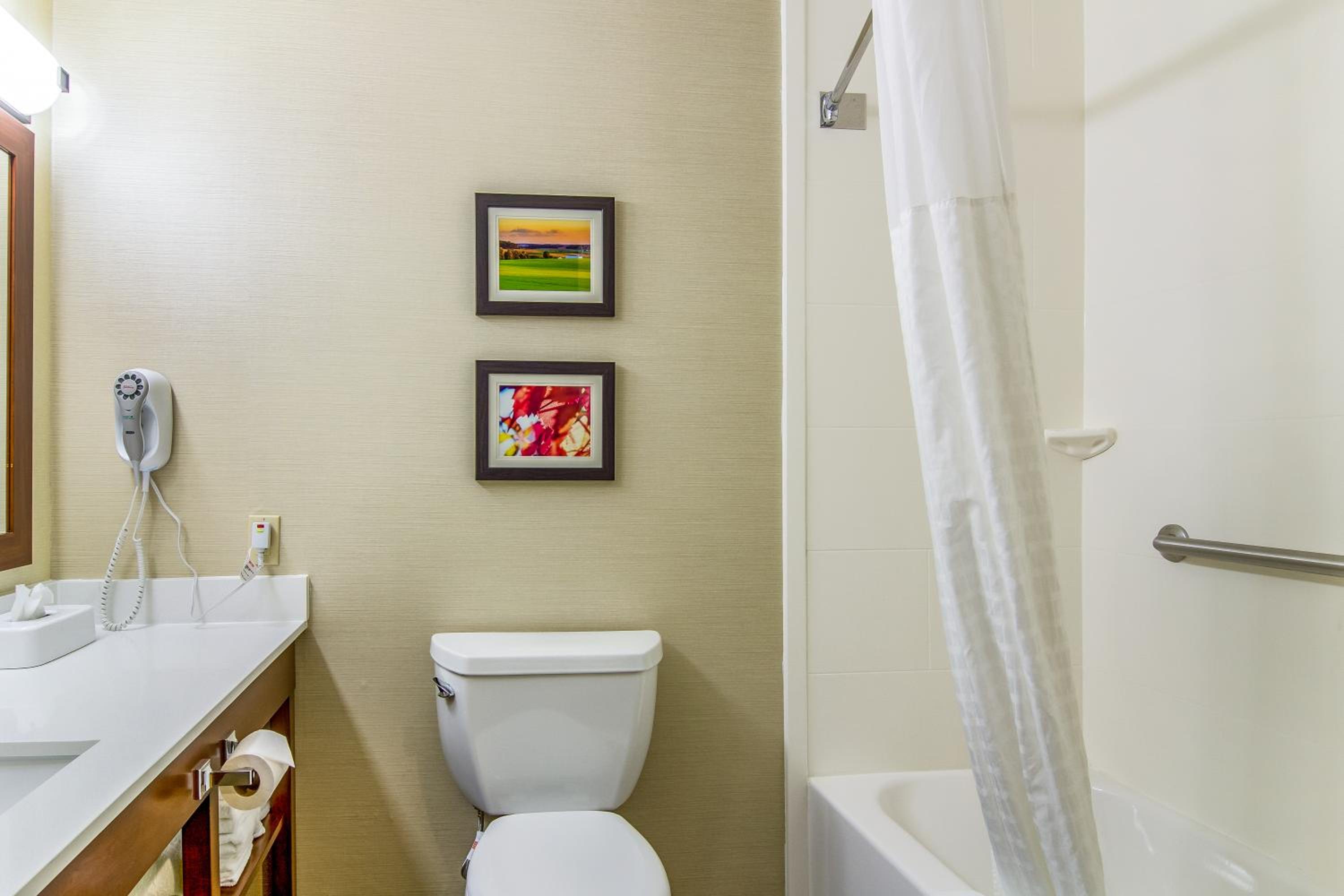 Queen Room with Two Queen Beds - Pet Friendly/Ground floor - Photo 2