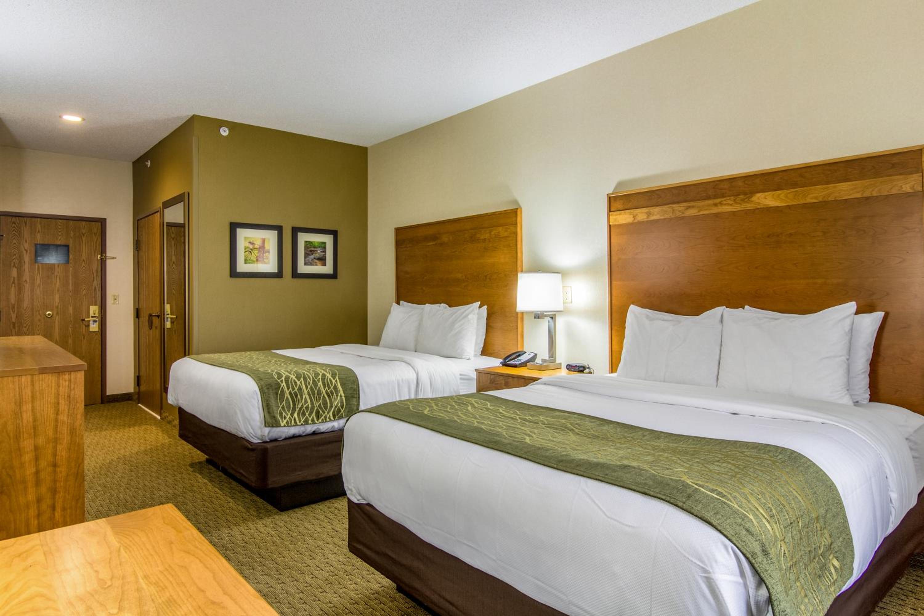 Queen Room with Two Queen Beds - Pet Friendly/Ground floor - Photo 1