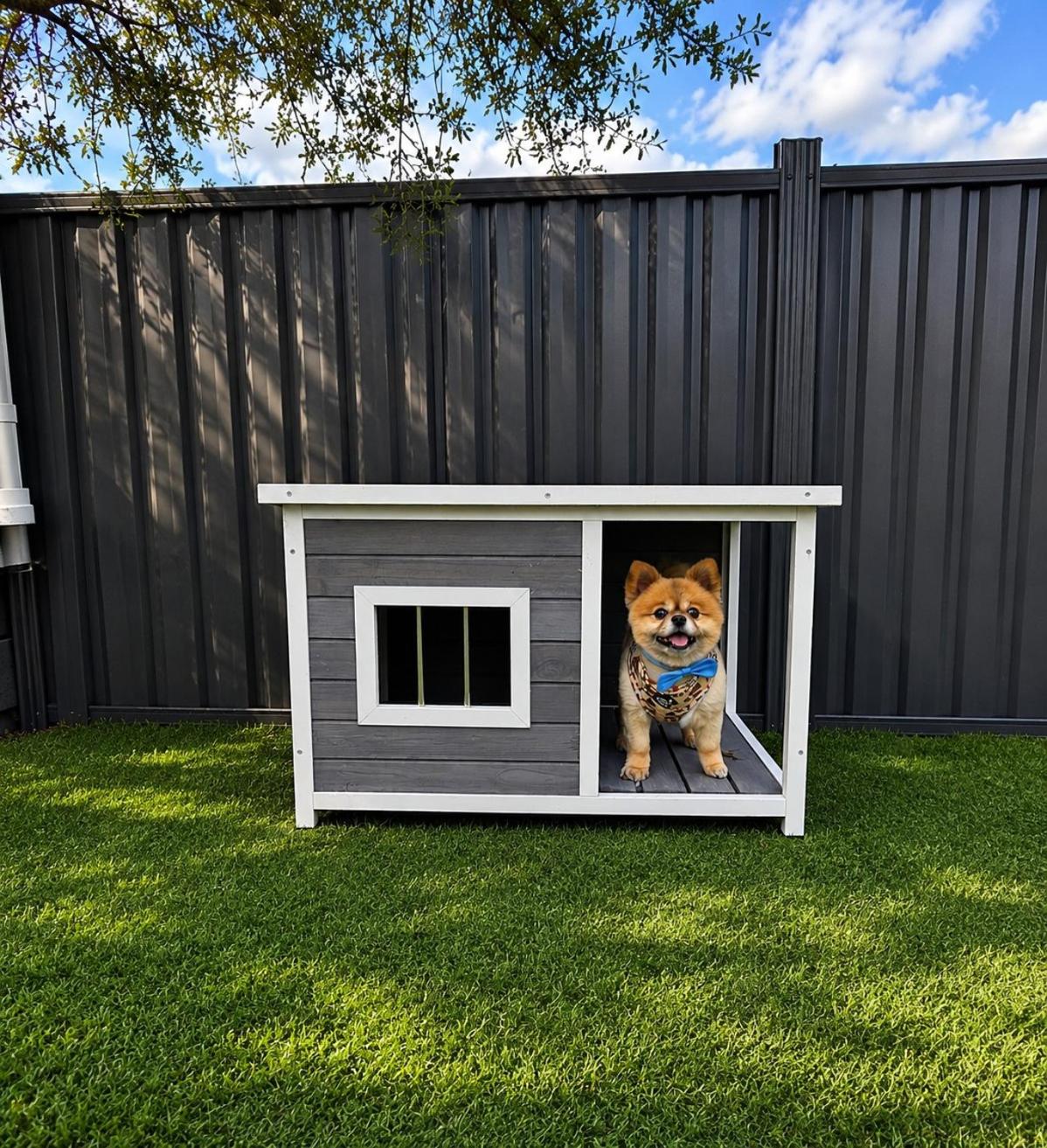 Standard Cabin (1BR) - Pet Friendly