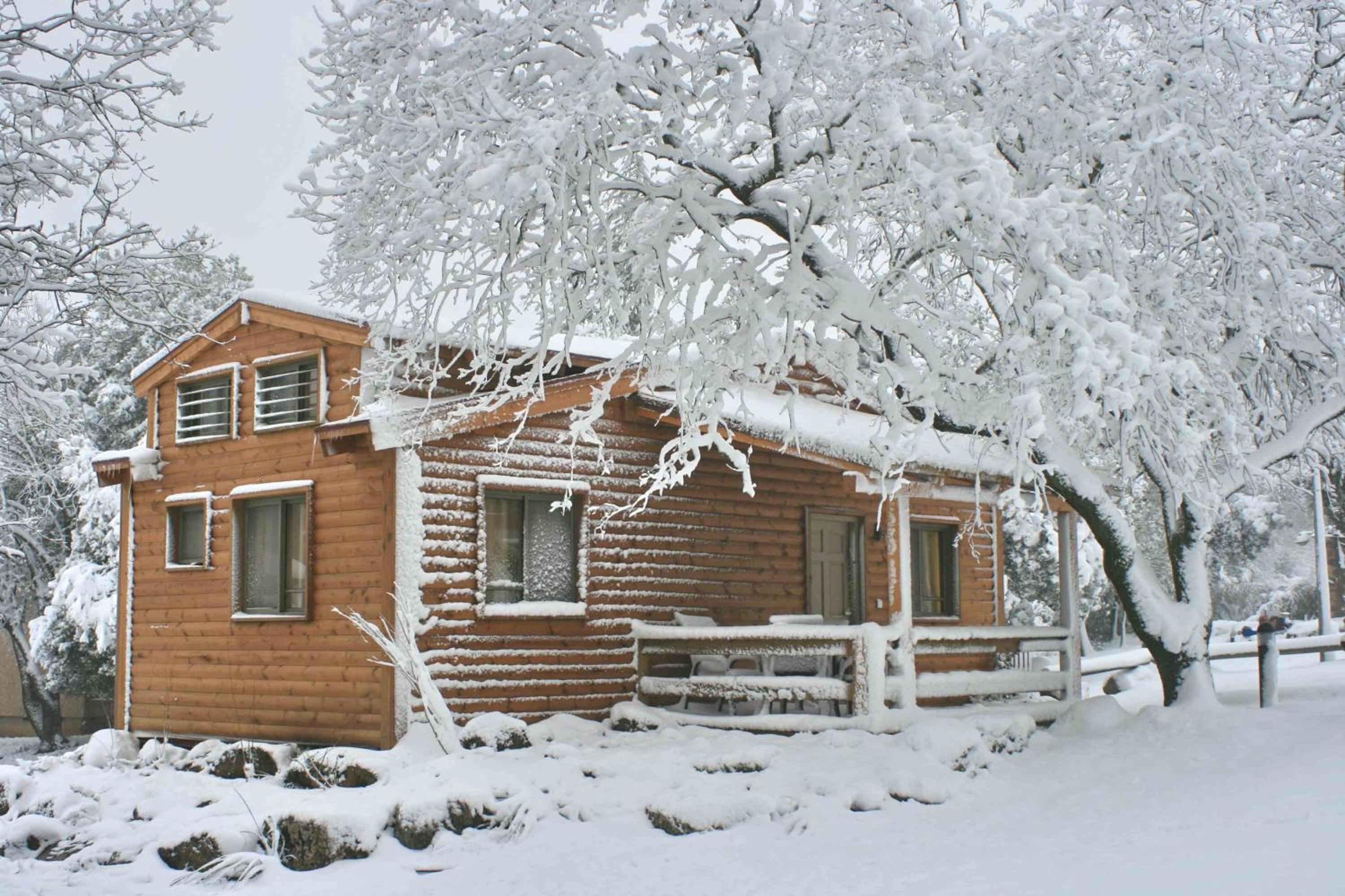 Chalet - Duvdevan - Photo 10