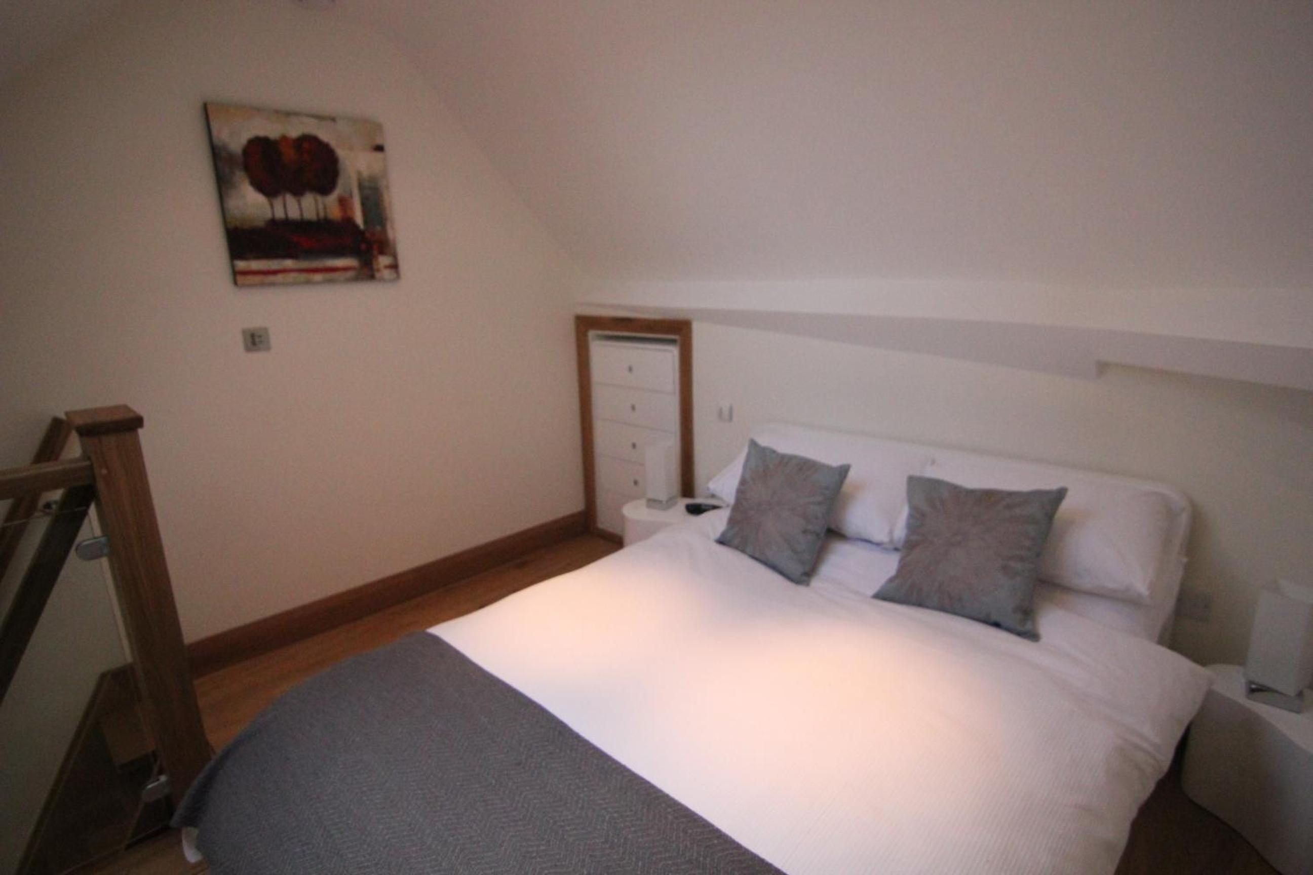 Standard One-Bedroom Apartment photo 3
