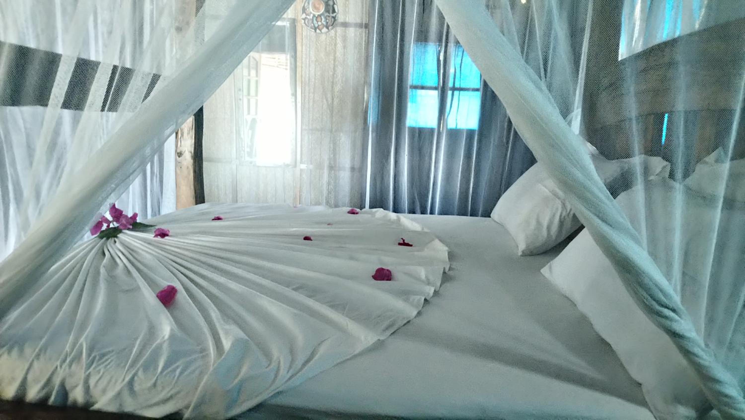 Deluxe Room photo 1